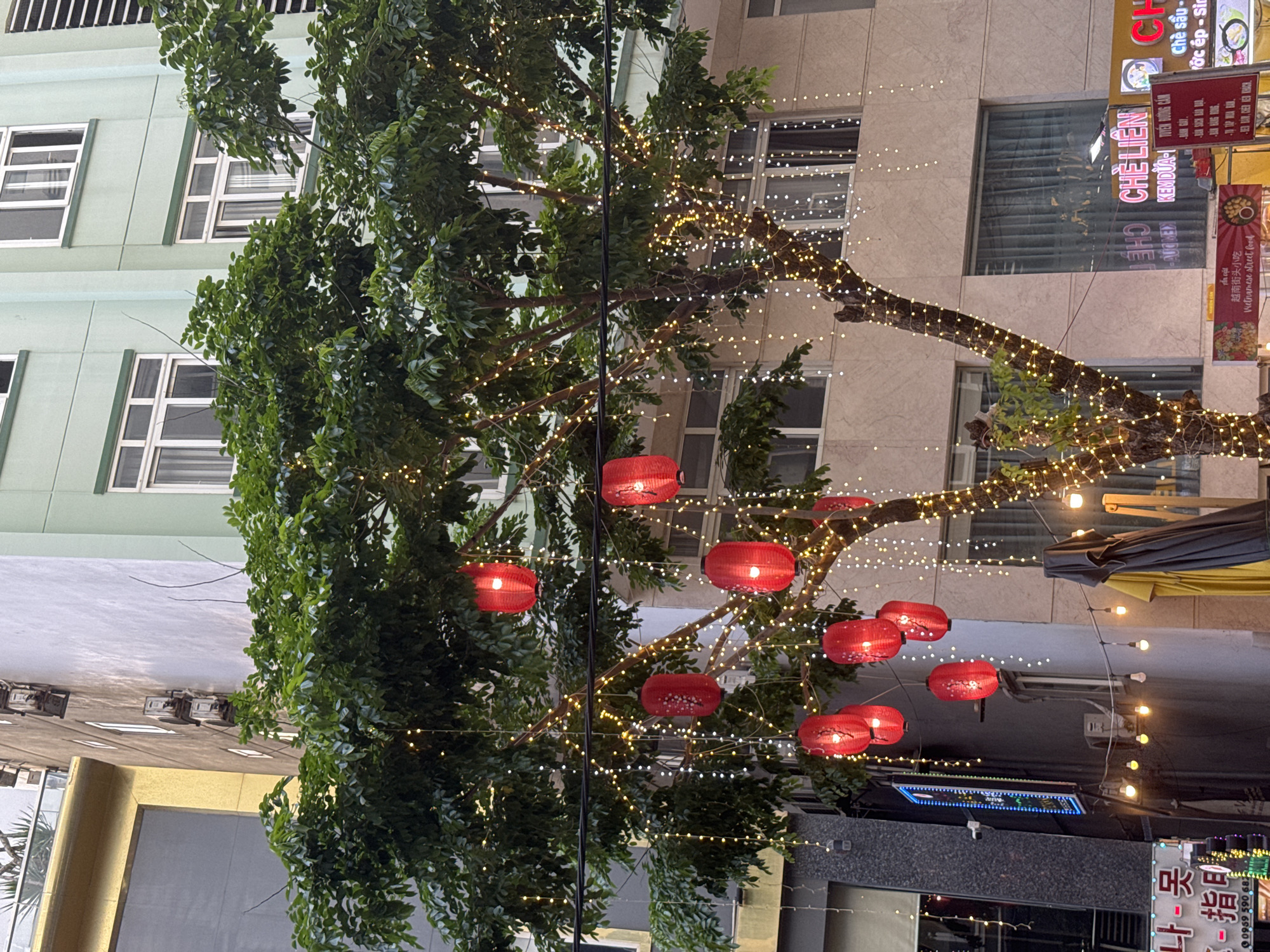 Festive tree with red lanterns spotted on Đà Nẵng street