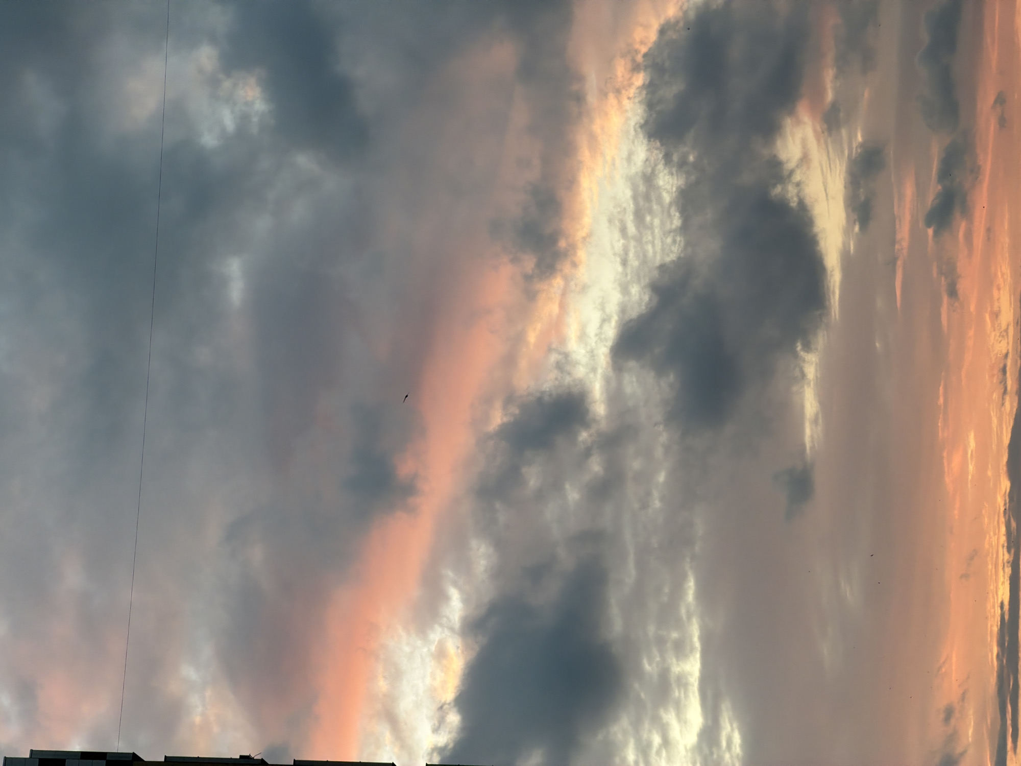 Urban sunset and Pomeranian dog documented during evening hours