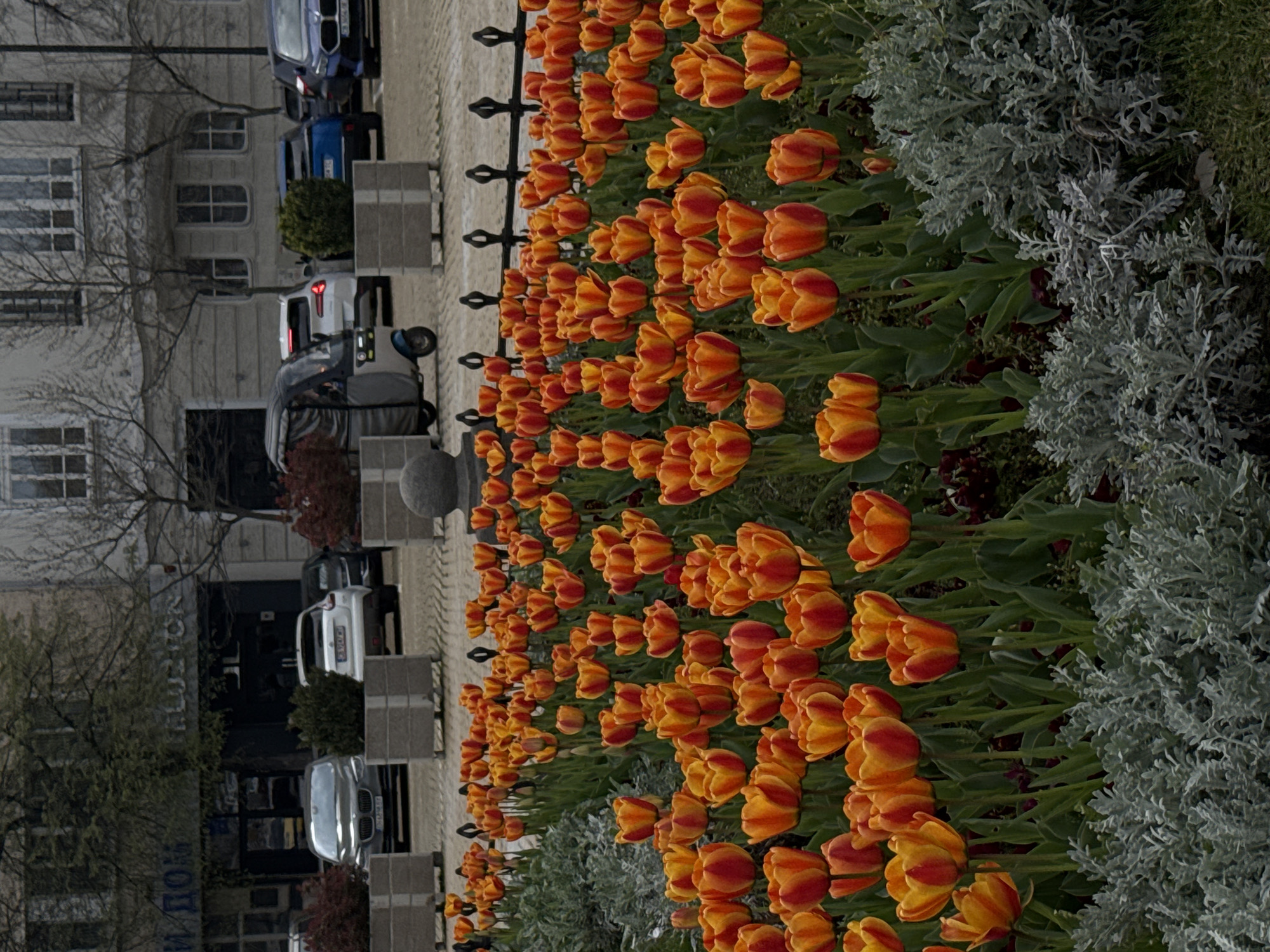 Spring afternoon scenes documented around Sofia's Tsar Liberator Monument
