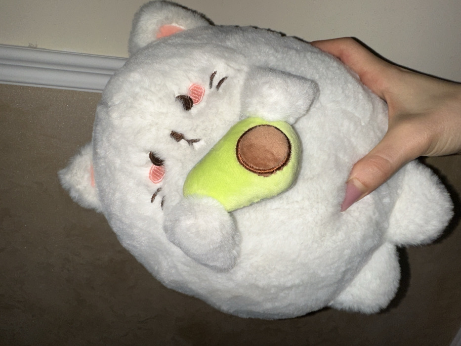 Plush toy collection documented in Yerevan Armenia afternoon