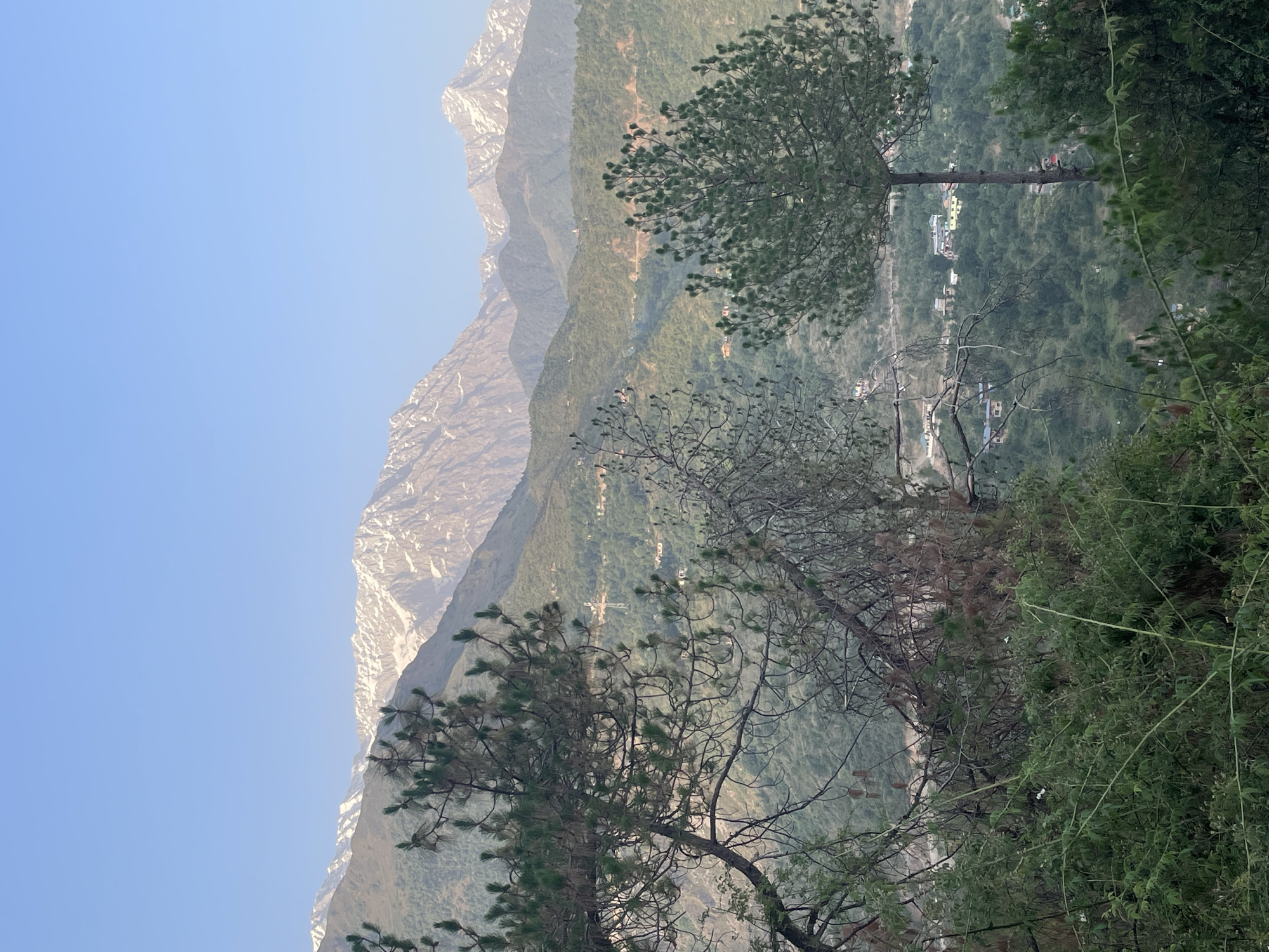 Daily life scenes captured across Dharamshala mountain town