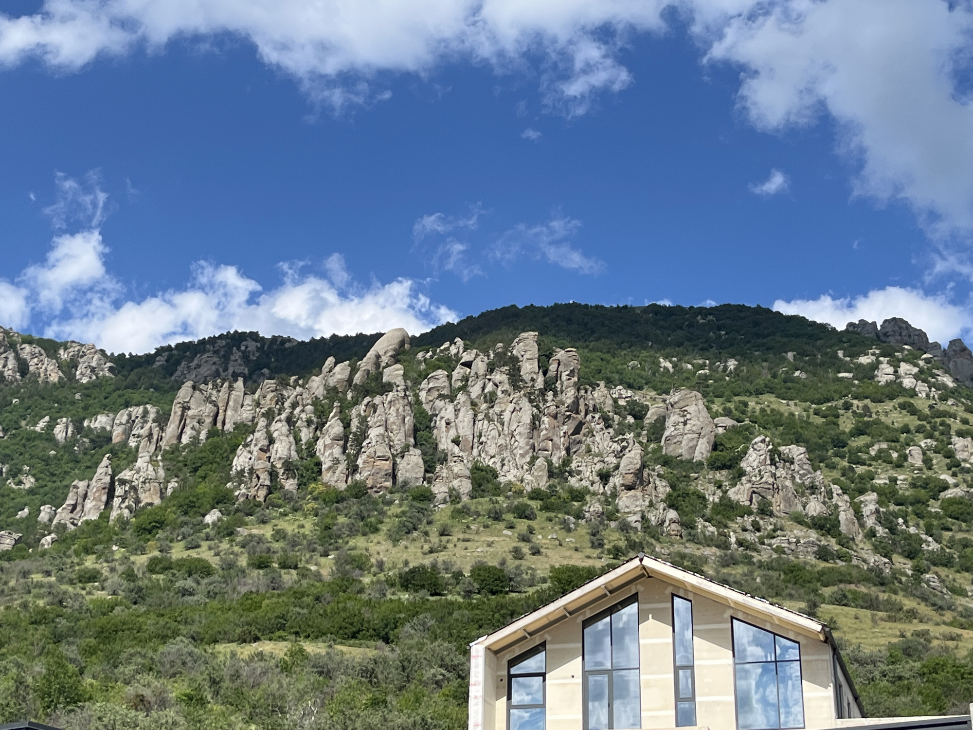 Hiking a wildflower-lined mountain trail above a coastal city