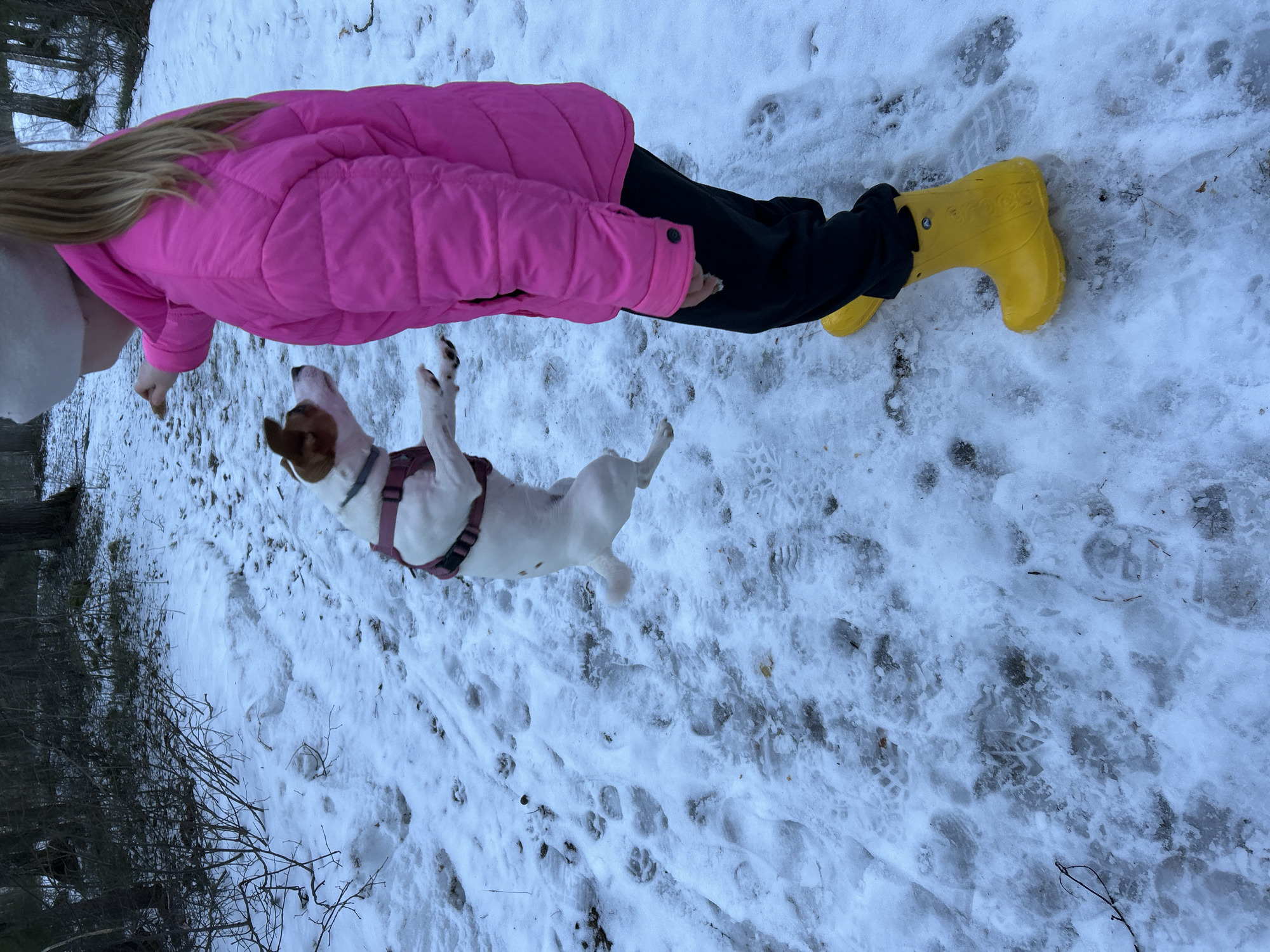 Child plays blindfolded snow games with dog in Russian forest