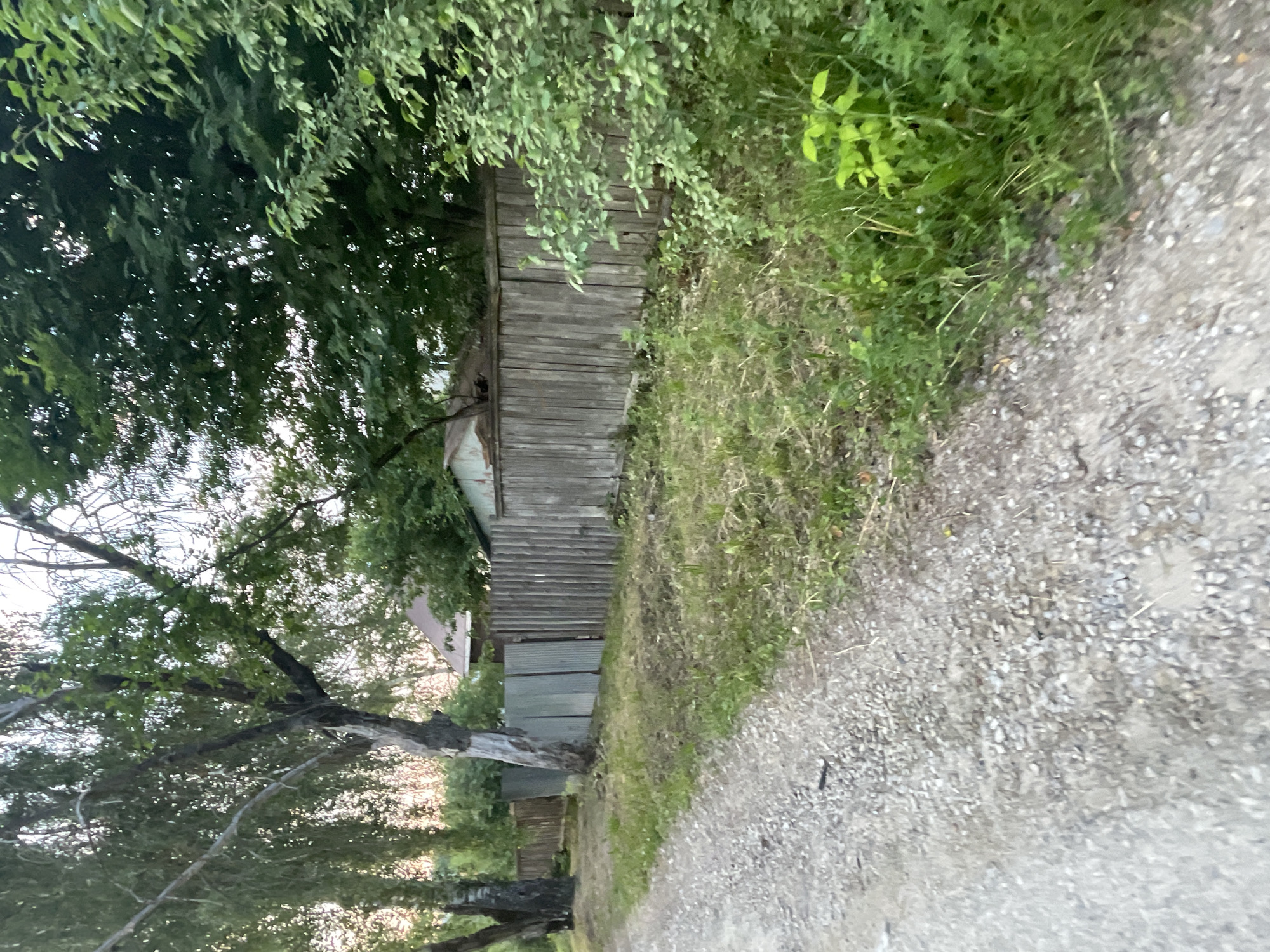 Walking tour through Krasnye Baki streets and neighborhoods