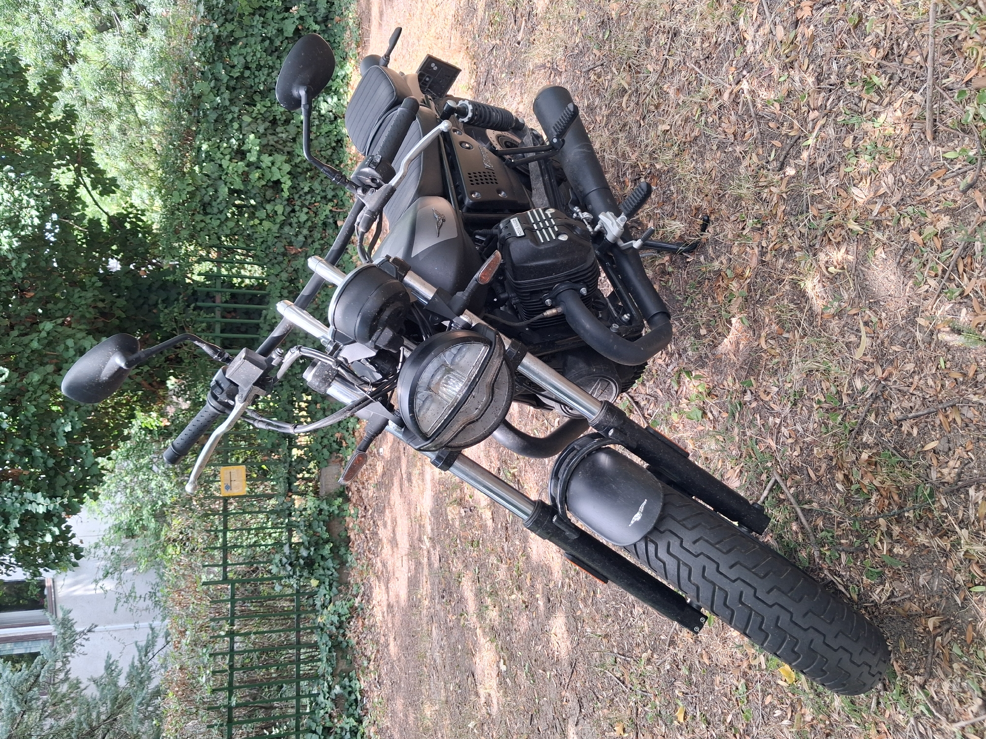 Moto Guzzi parked under oak canopy in Budapest