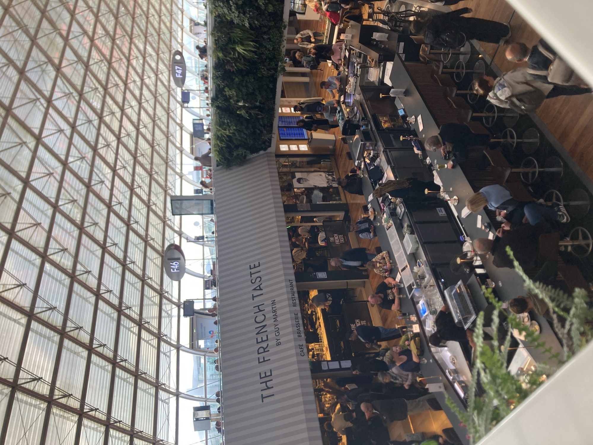 Bird spotted inside airport restaurant in Le Mesnil-Amelot