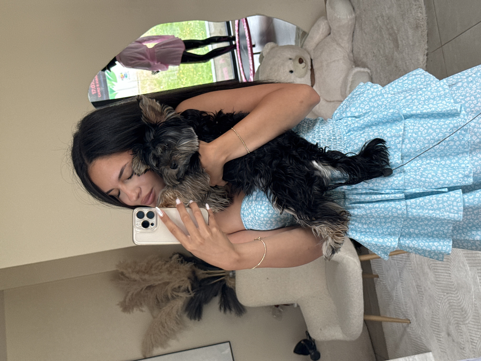Yorkshire Terrier chills and poses indoors in Sofia