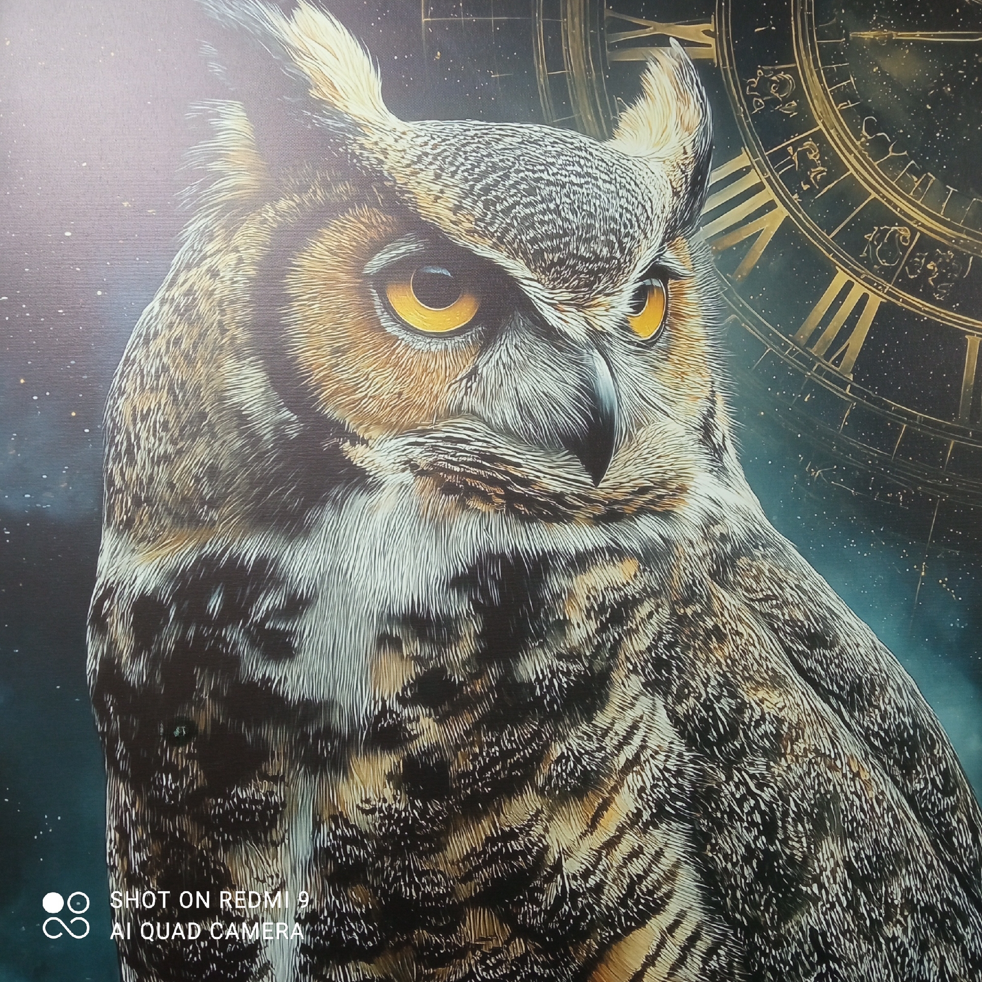 Witness captures owl art, man, and cat in Chaikovsky