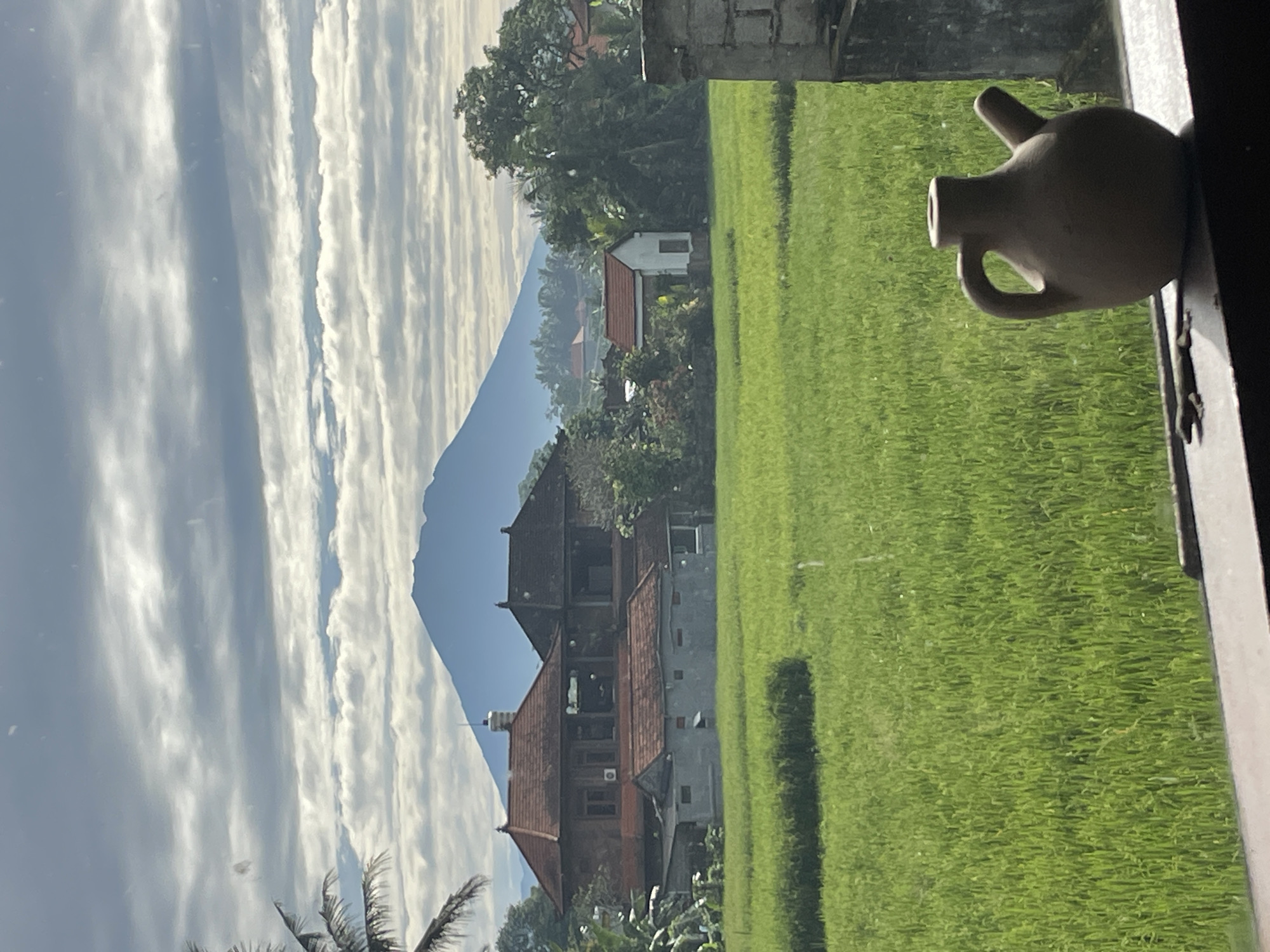 Rural tropical morning captured: rice fields, flowers, coffee ritual