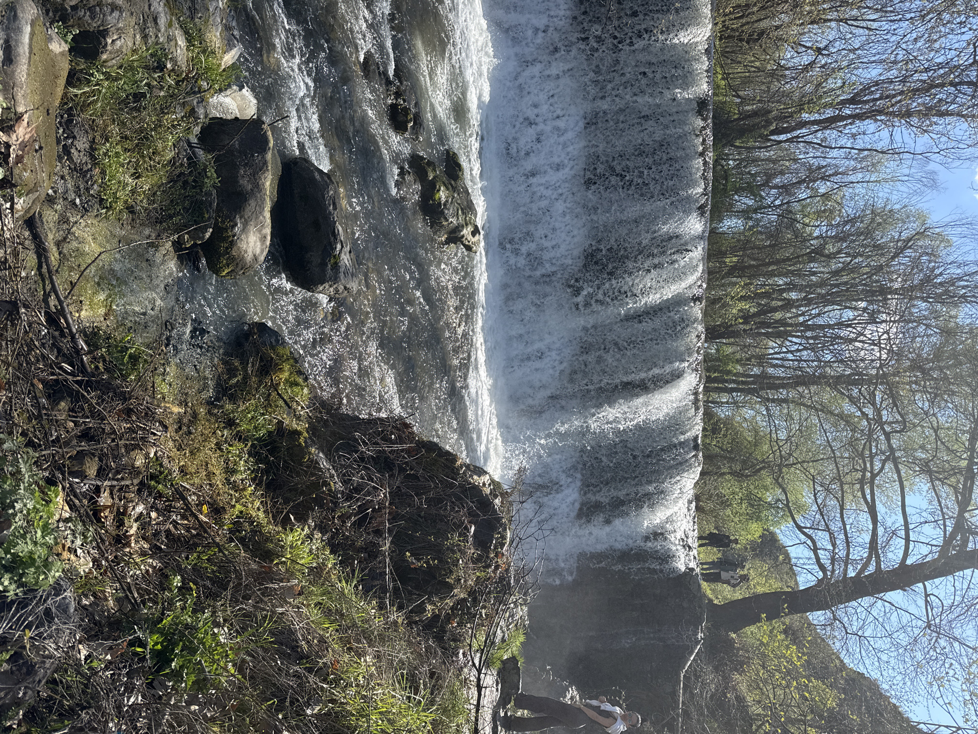 Waterfall documented in Parvenets, Bulgaria amid spring woodland setting