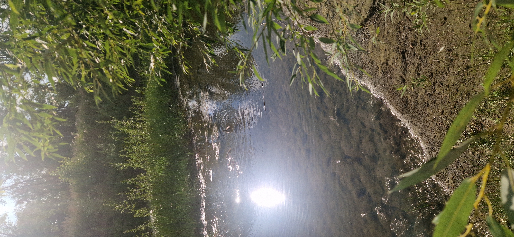 Lazy summer day on the Ob River in Novosibirsk