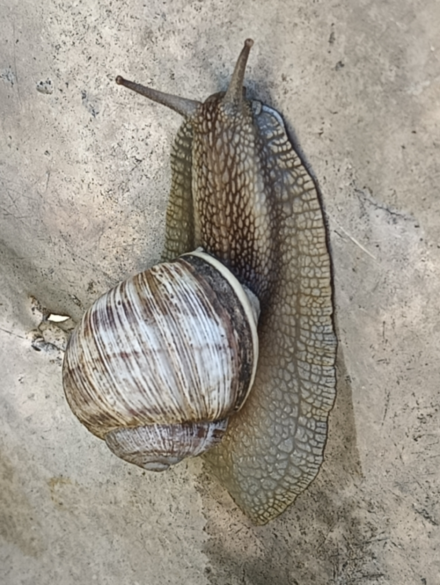 Morning wildlife observations and digital content captured in Biliaivka