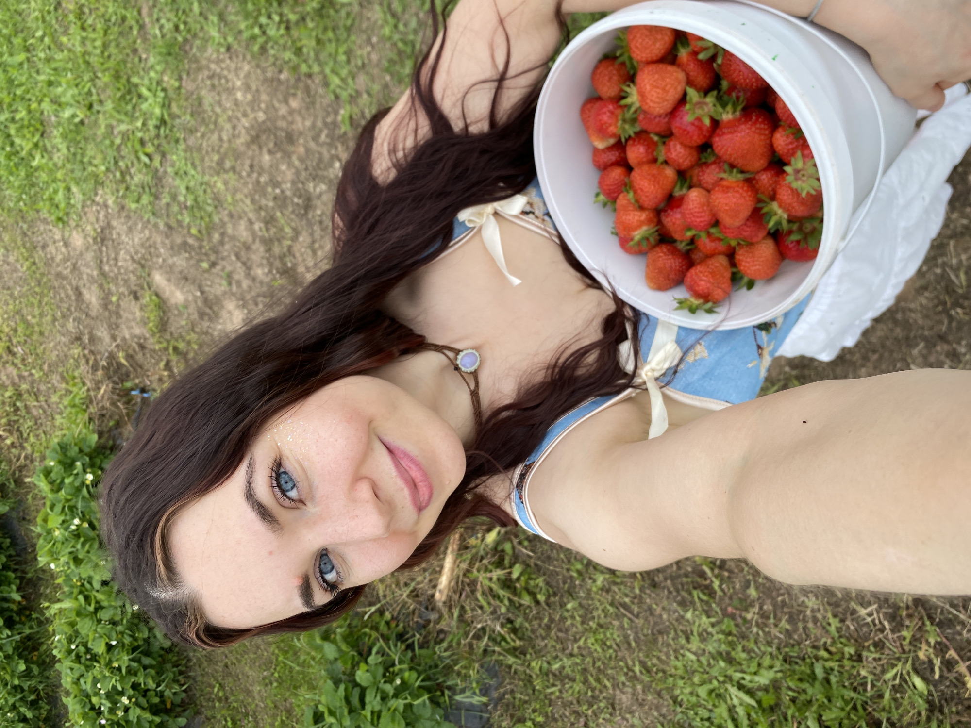 Picking strawberries in a field near Foteni, Russia