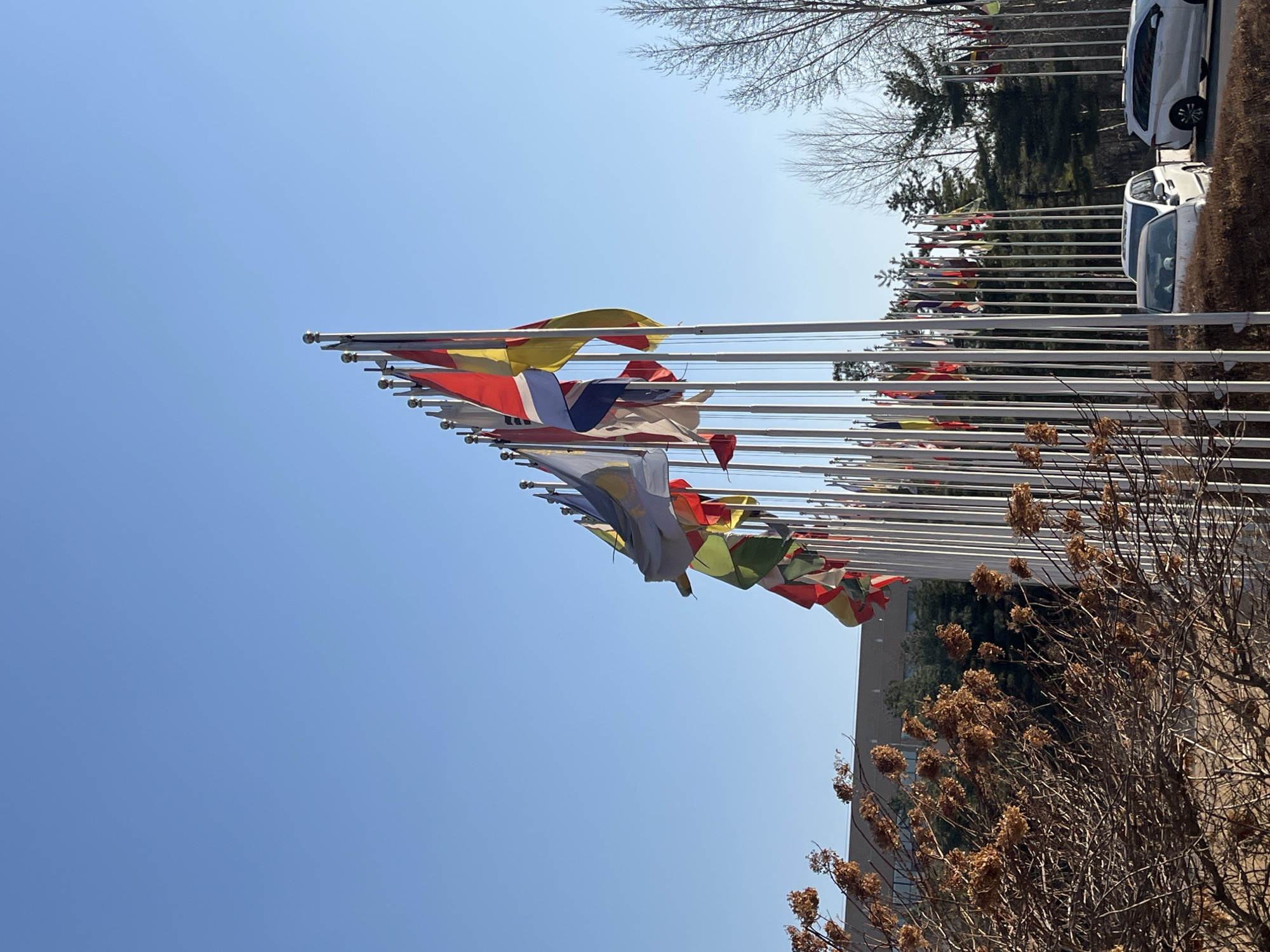 Institutional building with international flags documented in Changchun