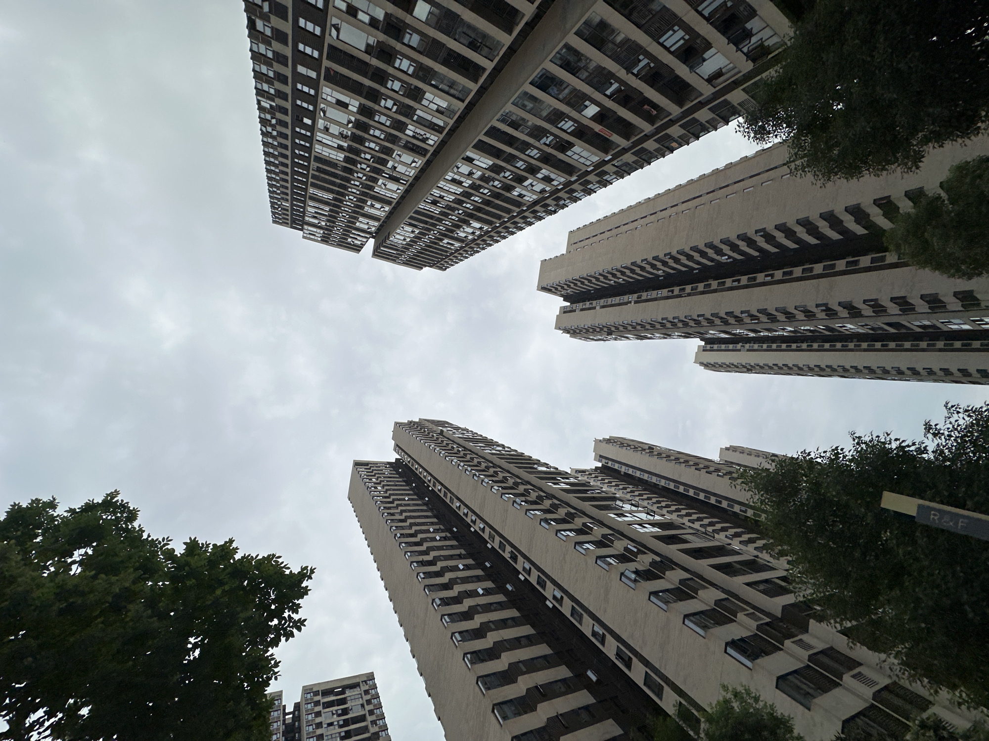Witness documents Chongqing High-tech Zone urban landscape and greenery