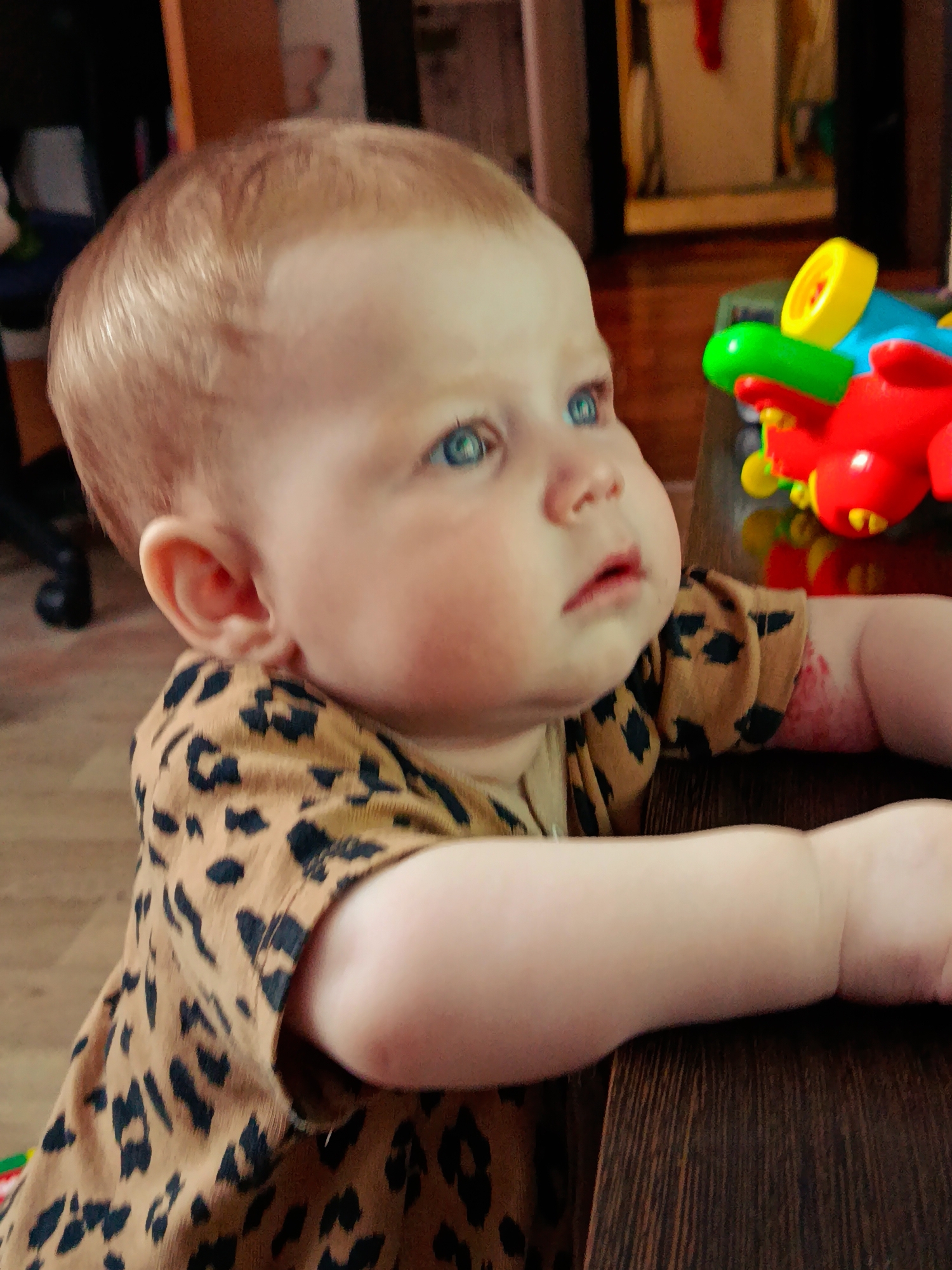 Red-haired child in leopard print observed at wooden surface