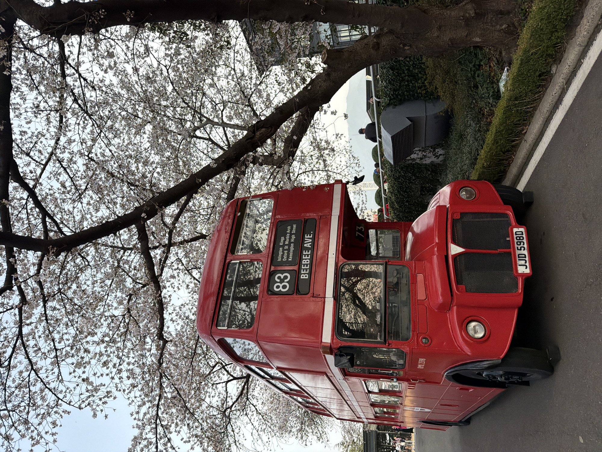Cherry blossoms and vintage displays attract visitors at Daegu E-World
