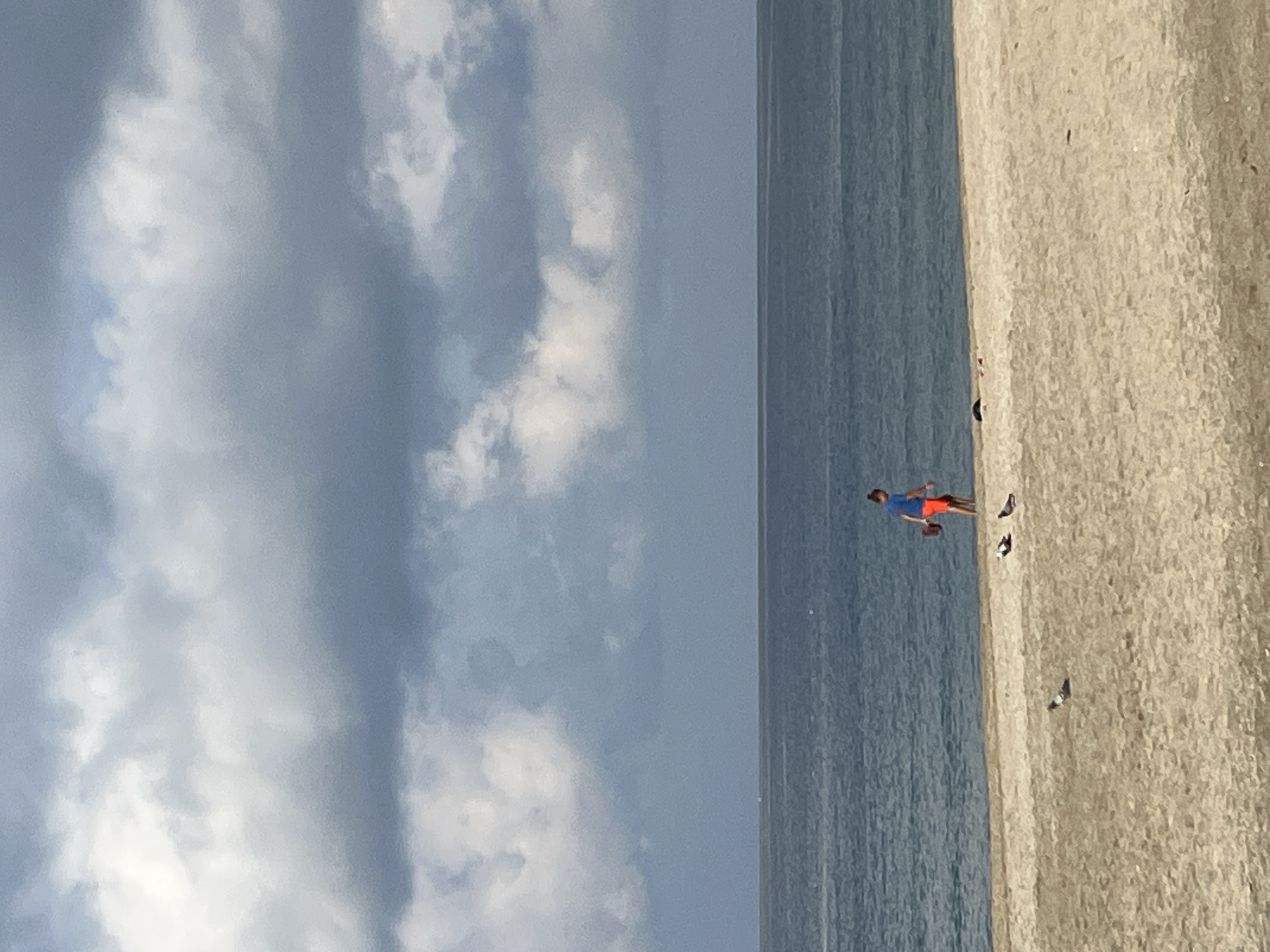 Morning moments documented across Alanya's beaches, streets, and gardens