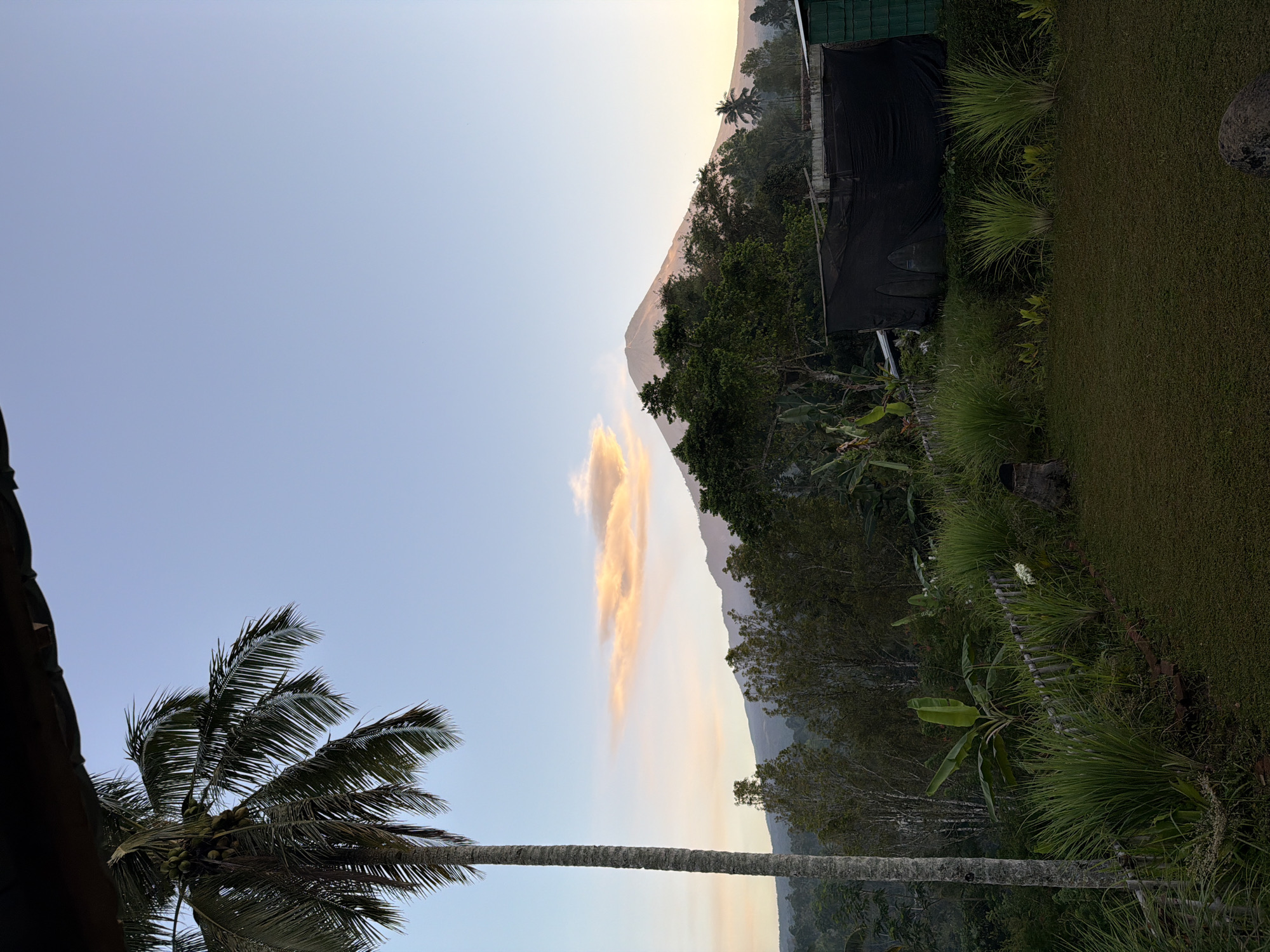 Dusk settles over a tropical palm landscape in Sidomulyo