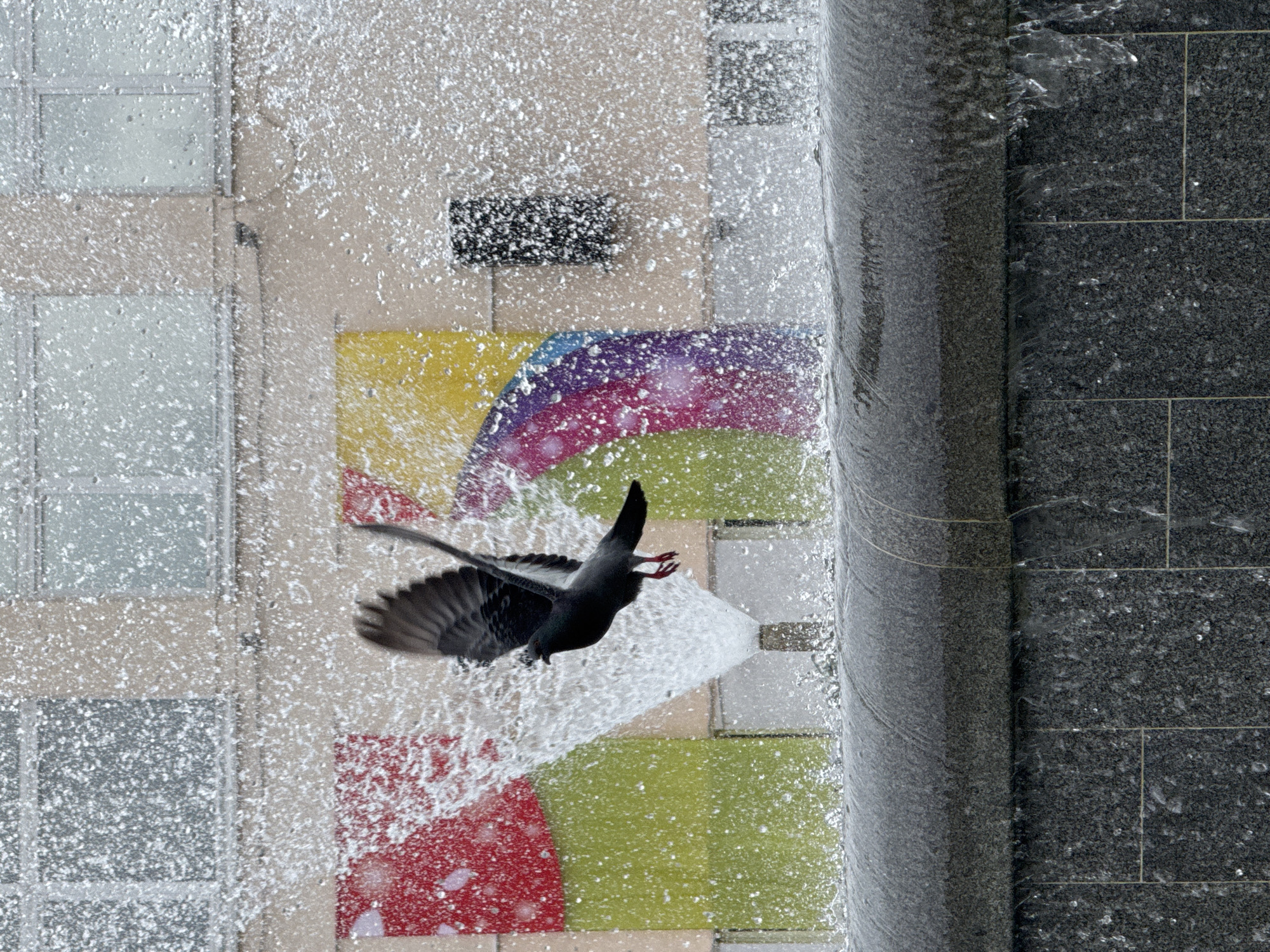 Morning life captured in Chaikovsky fountain plaza June 11