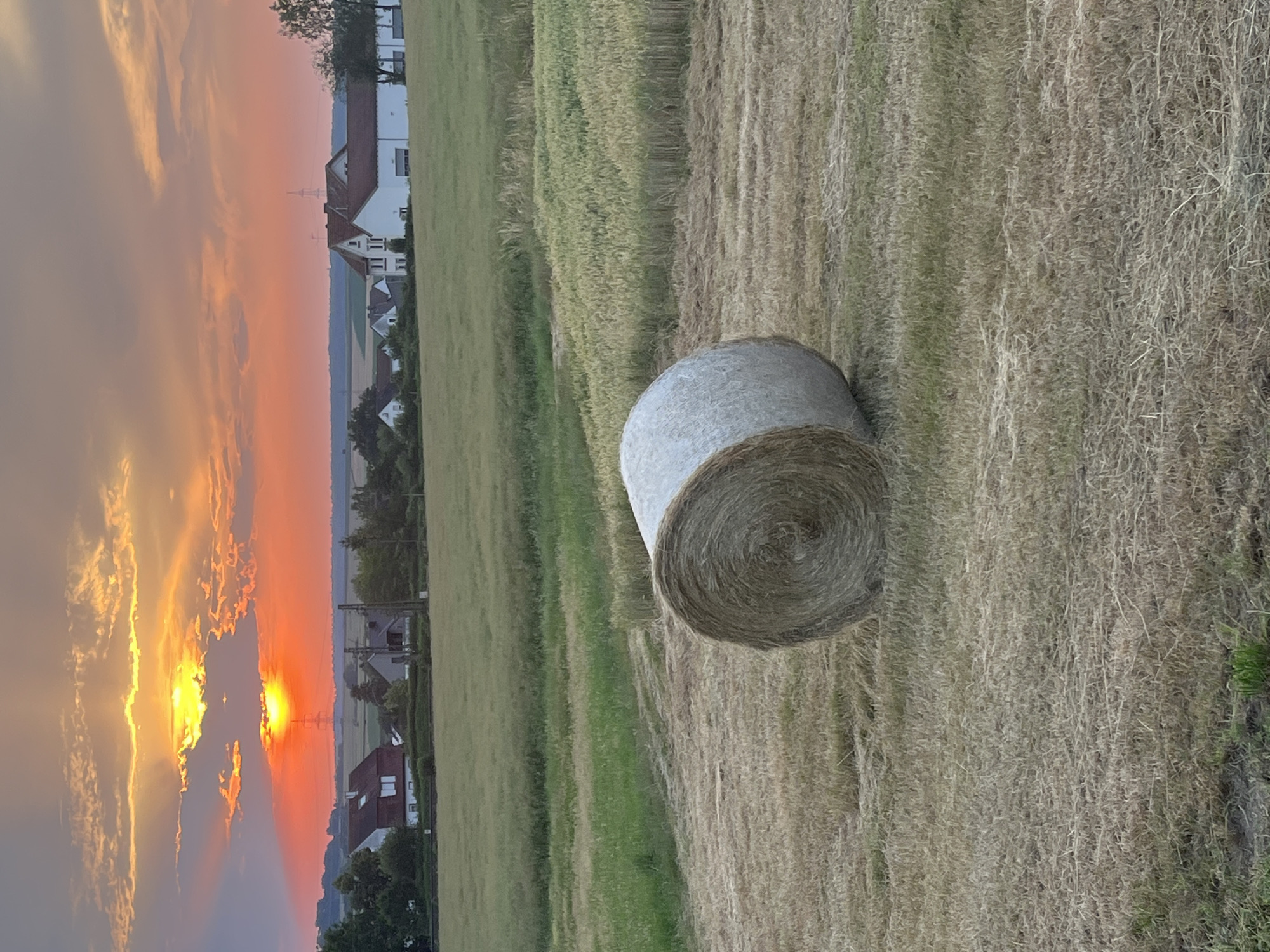 Golden hour over Neustadt fields and gardens