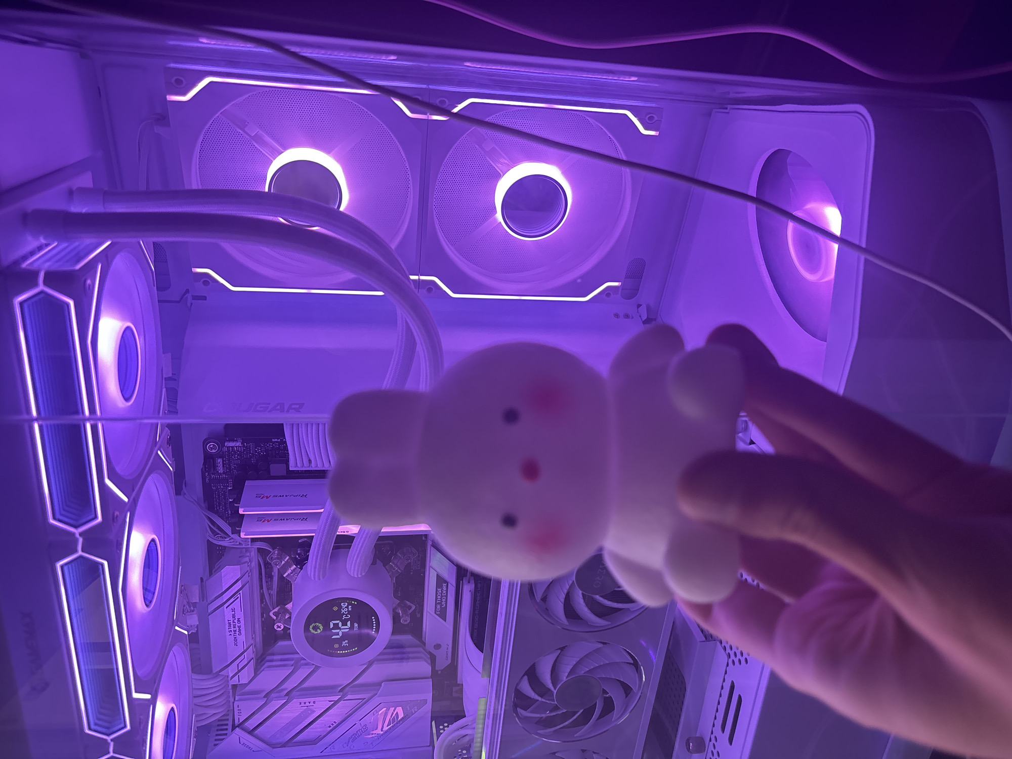 Cute collectibles and a purple-lit custom PC, casually showcased.