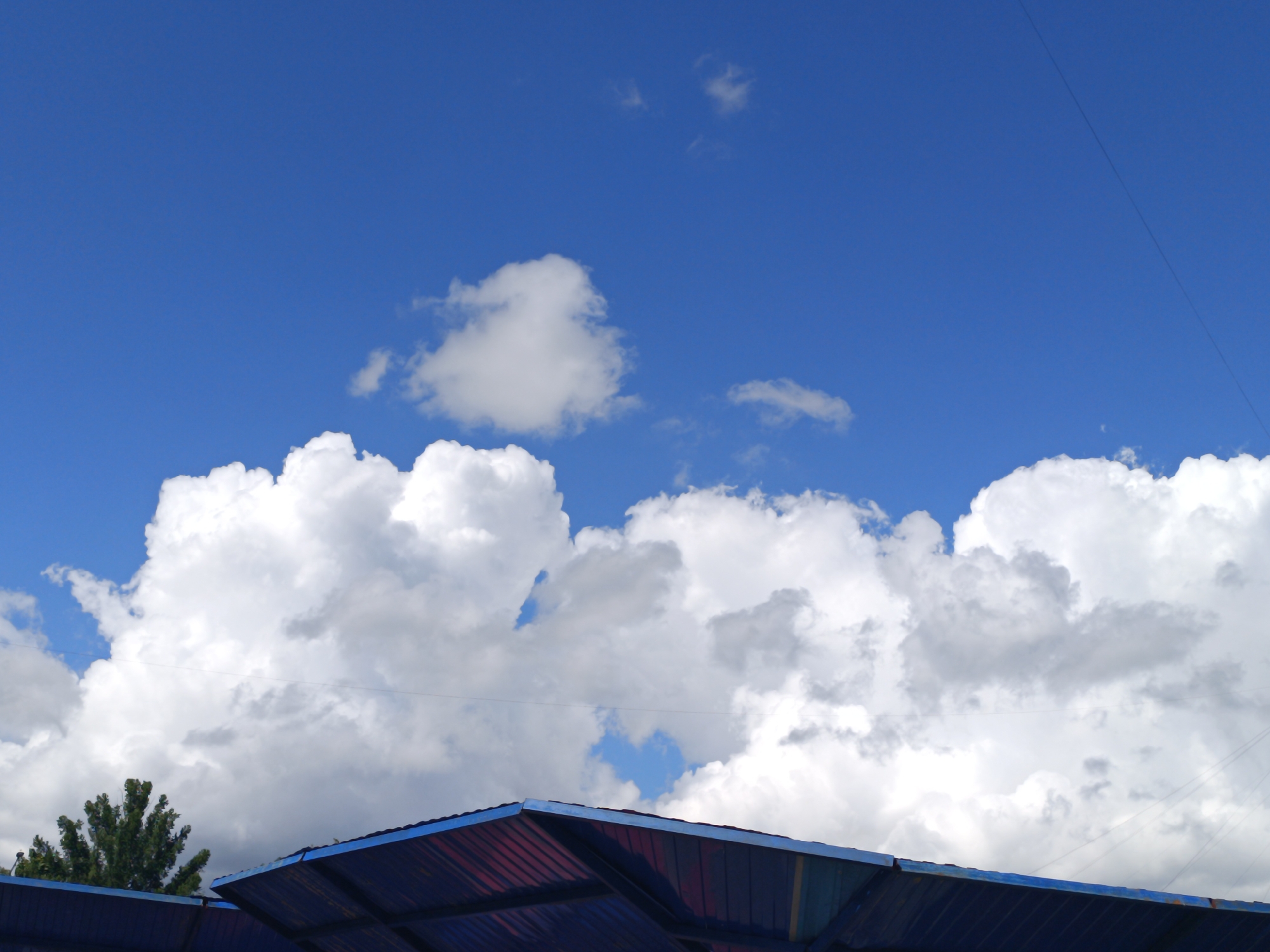 Sunny morning outside: skies, street fixtures, and wildflowers