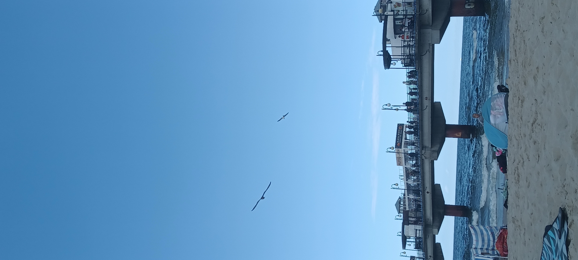 Clear day at Międzyzdroje Pier, seagulls in the sky
