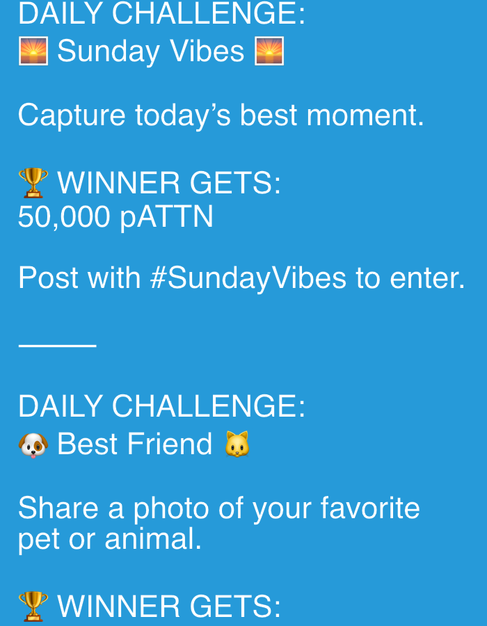 Daily challenge posts and backyard snapshots from rural Poland