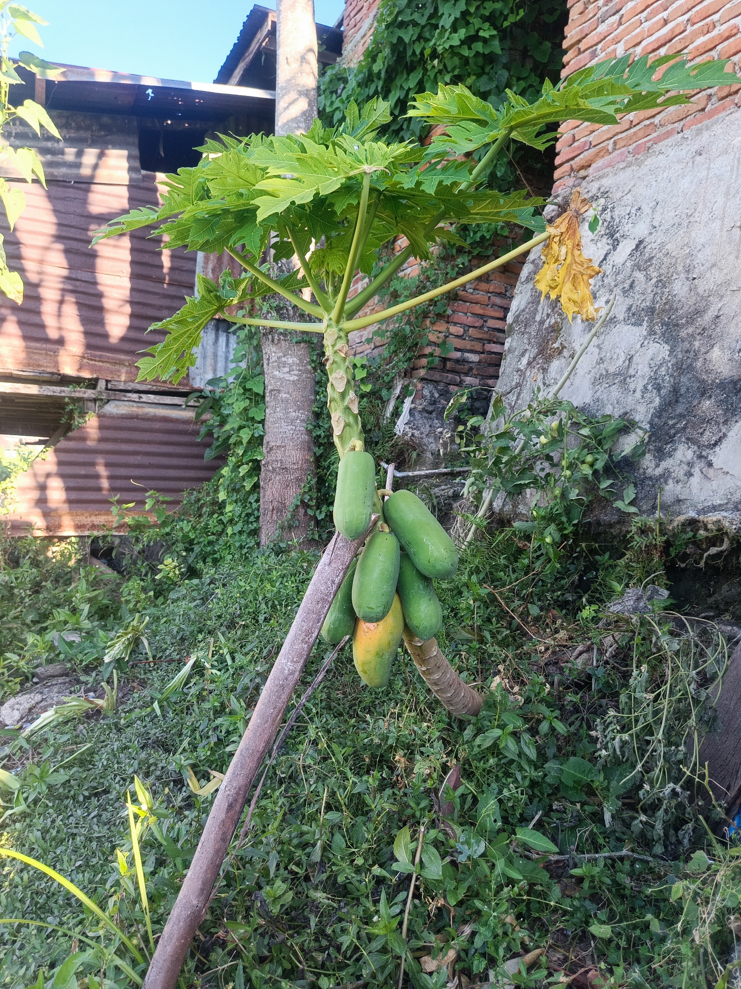 Gorontalo, Indonesia