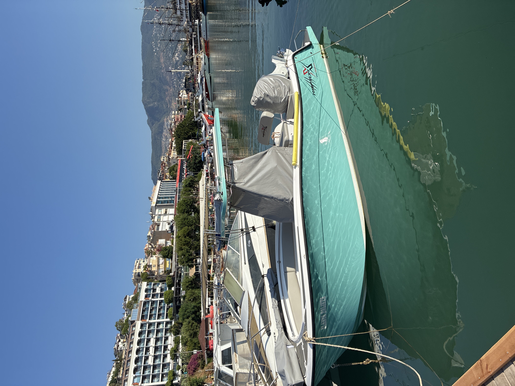 Alanya harbor on a sunny morning, boats to cats