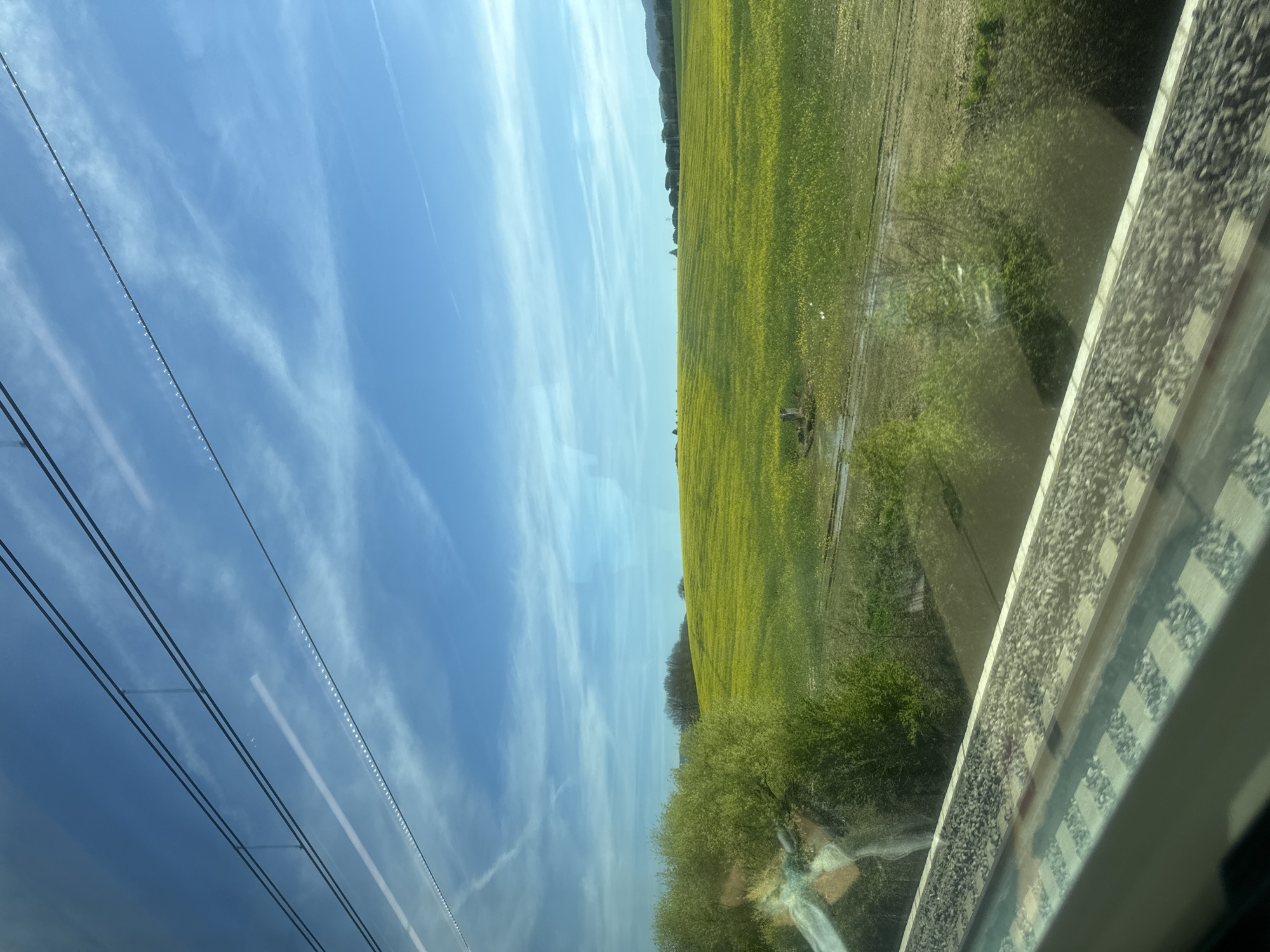 Train passenger views yellow flower field near Castiglion Fiorentino