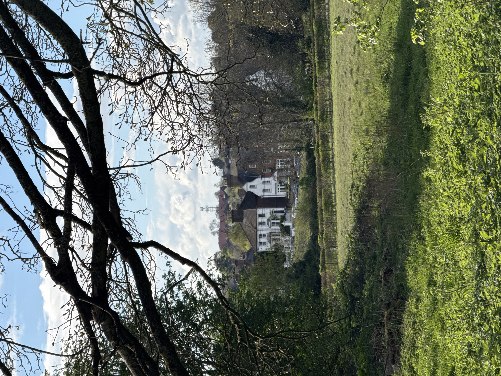Solo visitor documents leisurely walk through Dacorum parkland