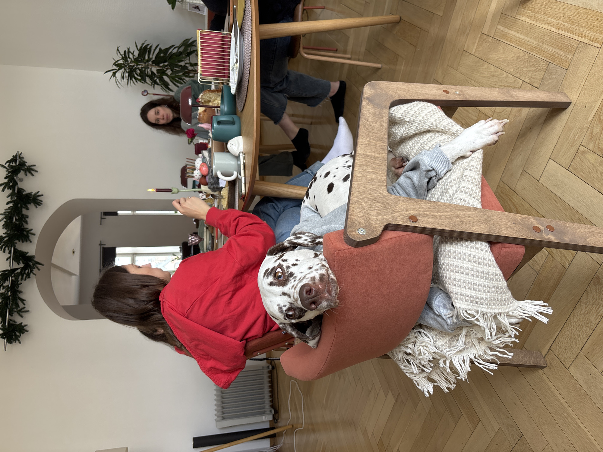 Women share meal with Dalmatian dog in Moscow gathering