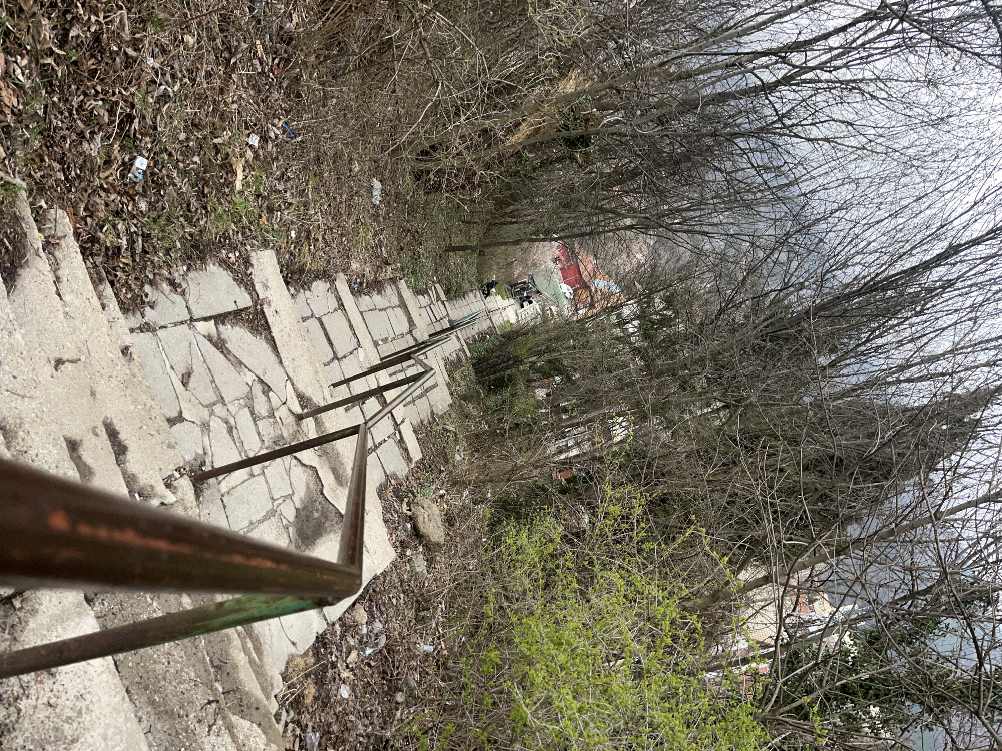 Concrete staircase through wooded area in Vladaya, Bulgaria