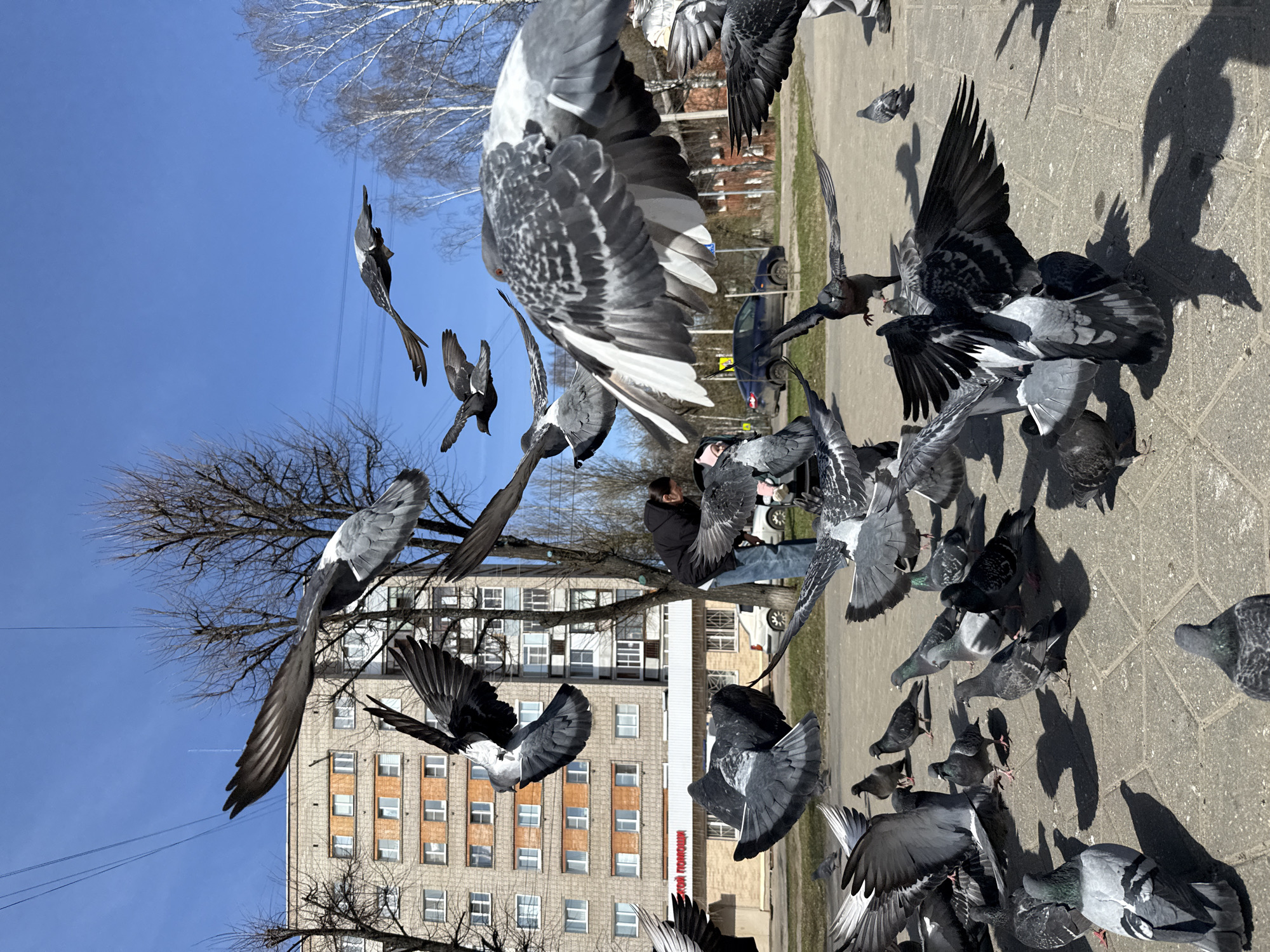 Family morning: pigeon feeding and swimming lessons in Rusanovo