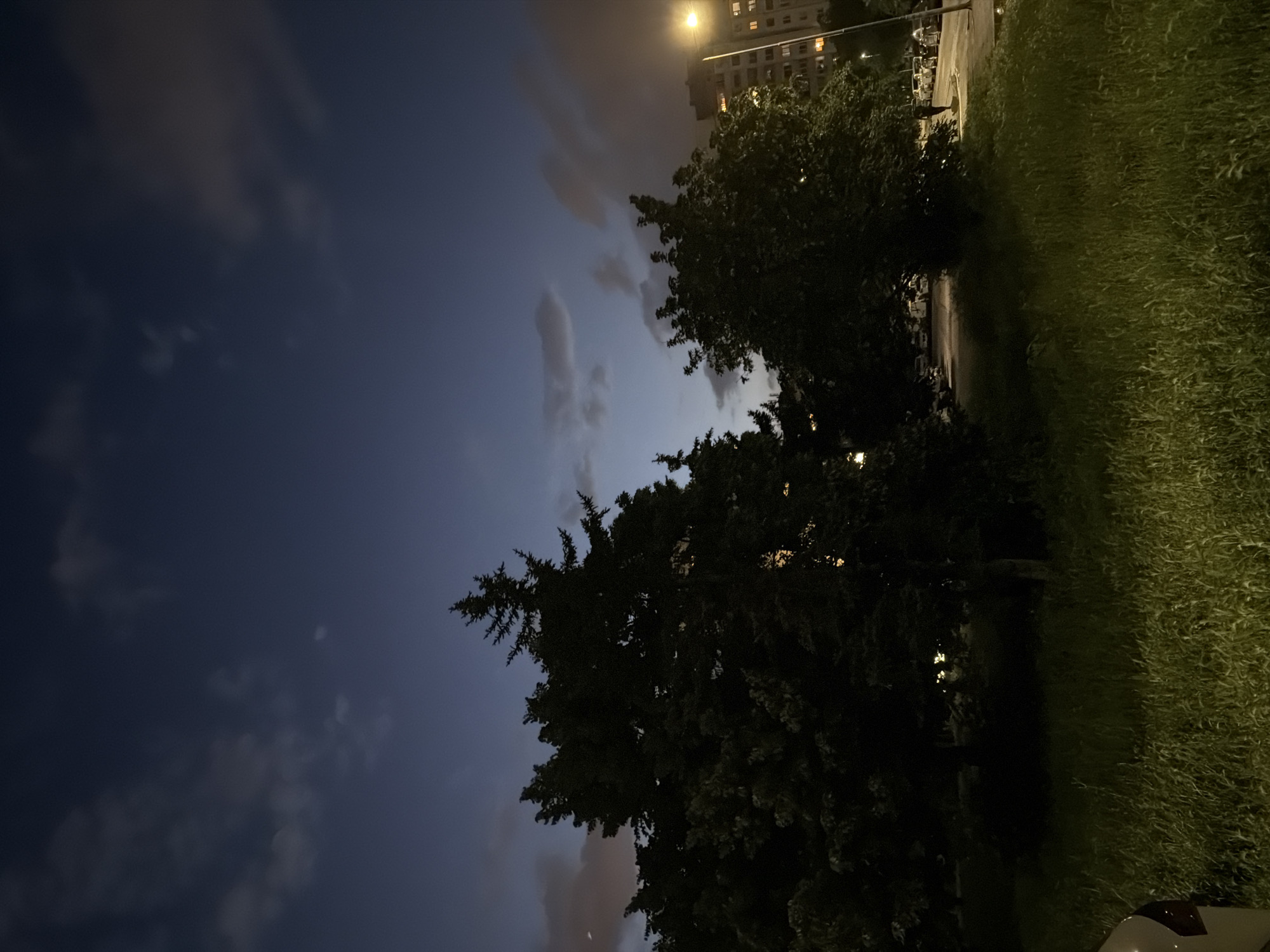 Evening domestic life documented in Sofia with cats and snails