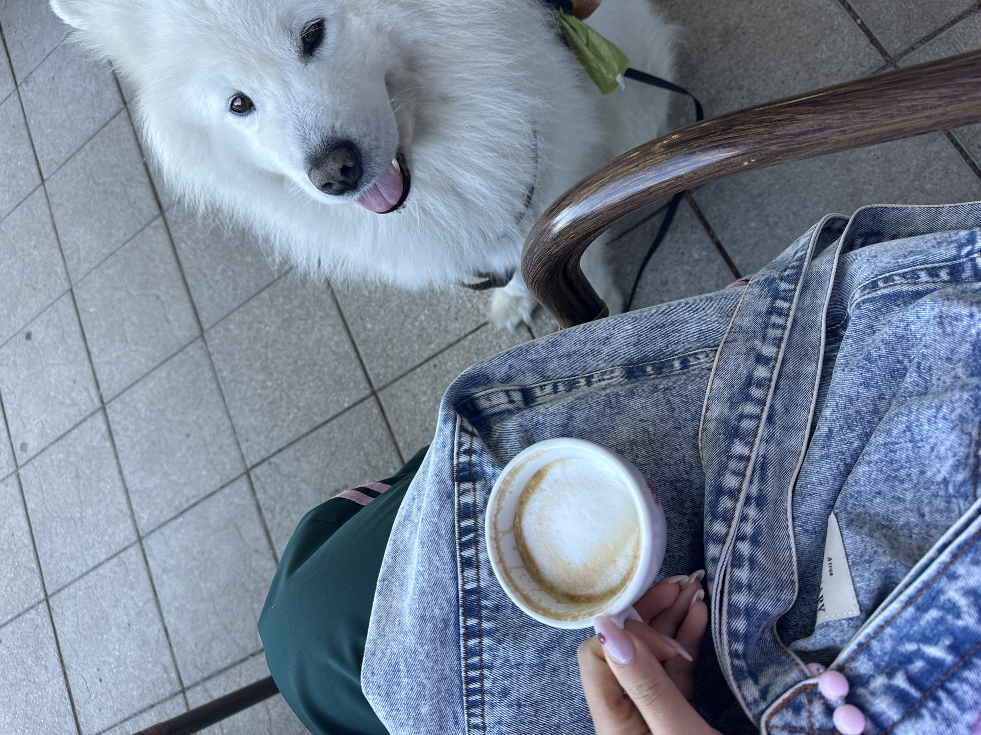 Morning moments captured in Bar, Montenegro café and seaside
