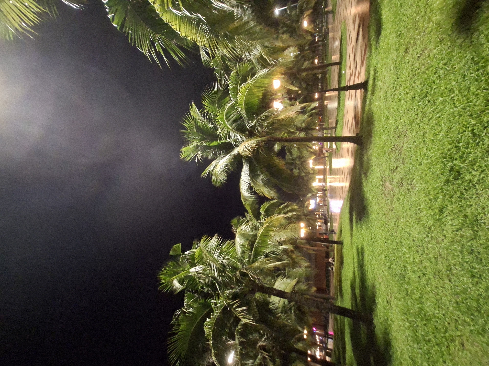 Palm-lined streets and a flowering plant near an urban building at night
