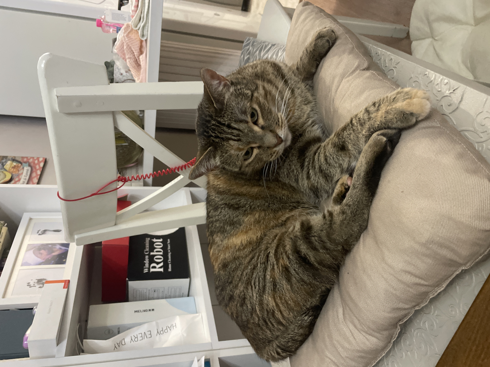 Cozy home afternoon with a napping cat and a playful toddler