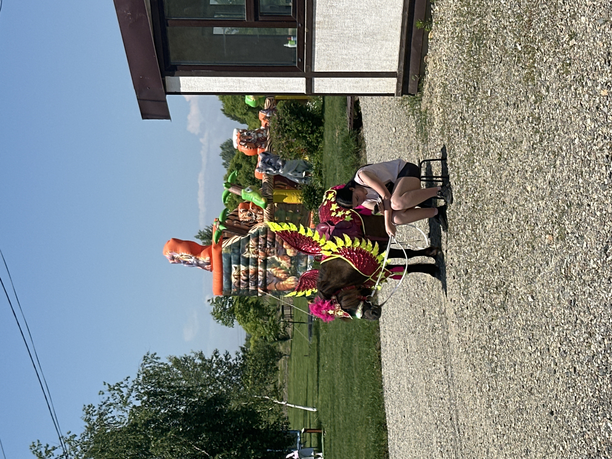 Summer lakefront festival draws families to Ussurijsk park