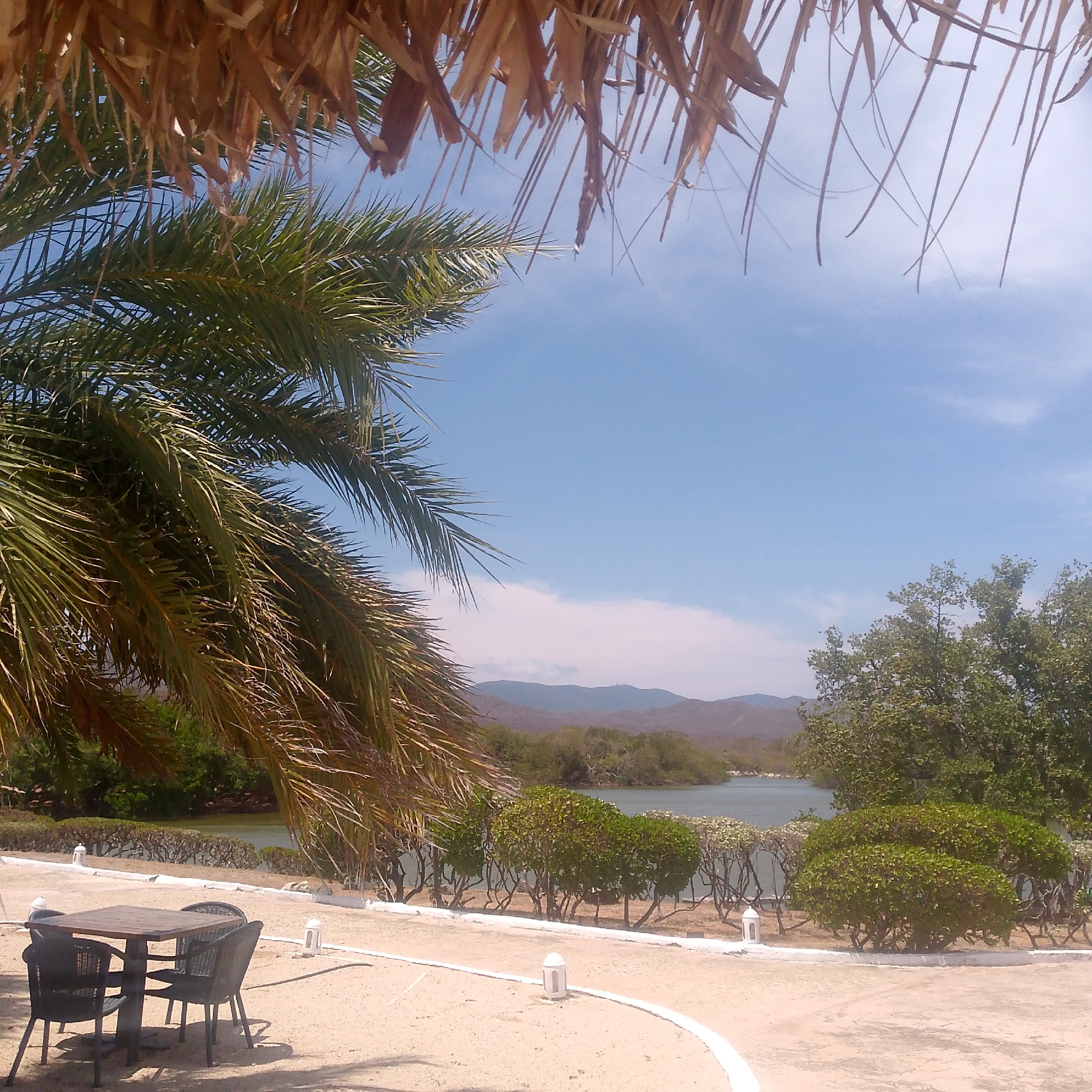 Beach resort activity documented in Pedro González, Venezuela