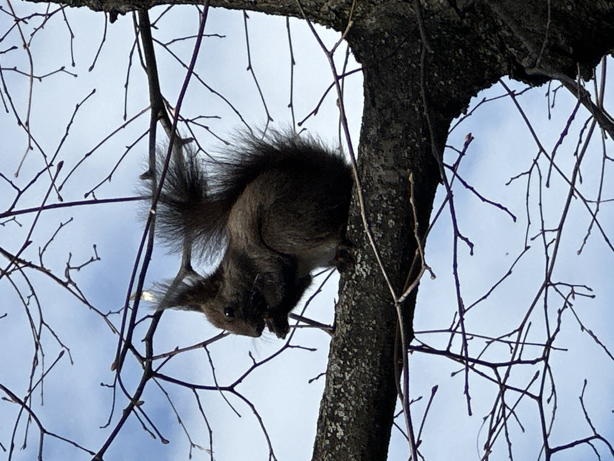 Sofia street scenes and wildlife captured in 10-minute span