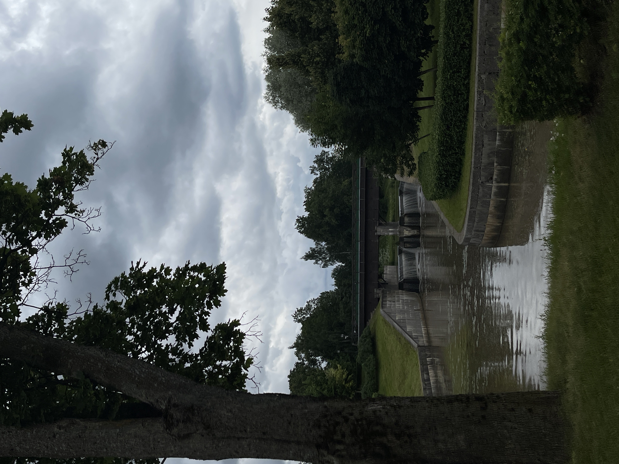 Morning at Strelna palace grounds, slugs steal the show