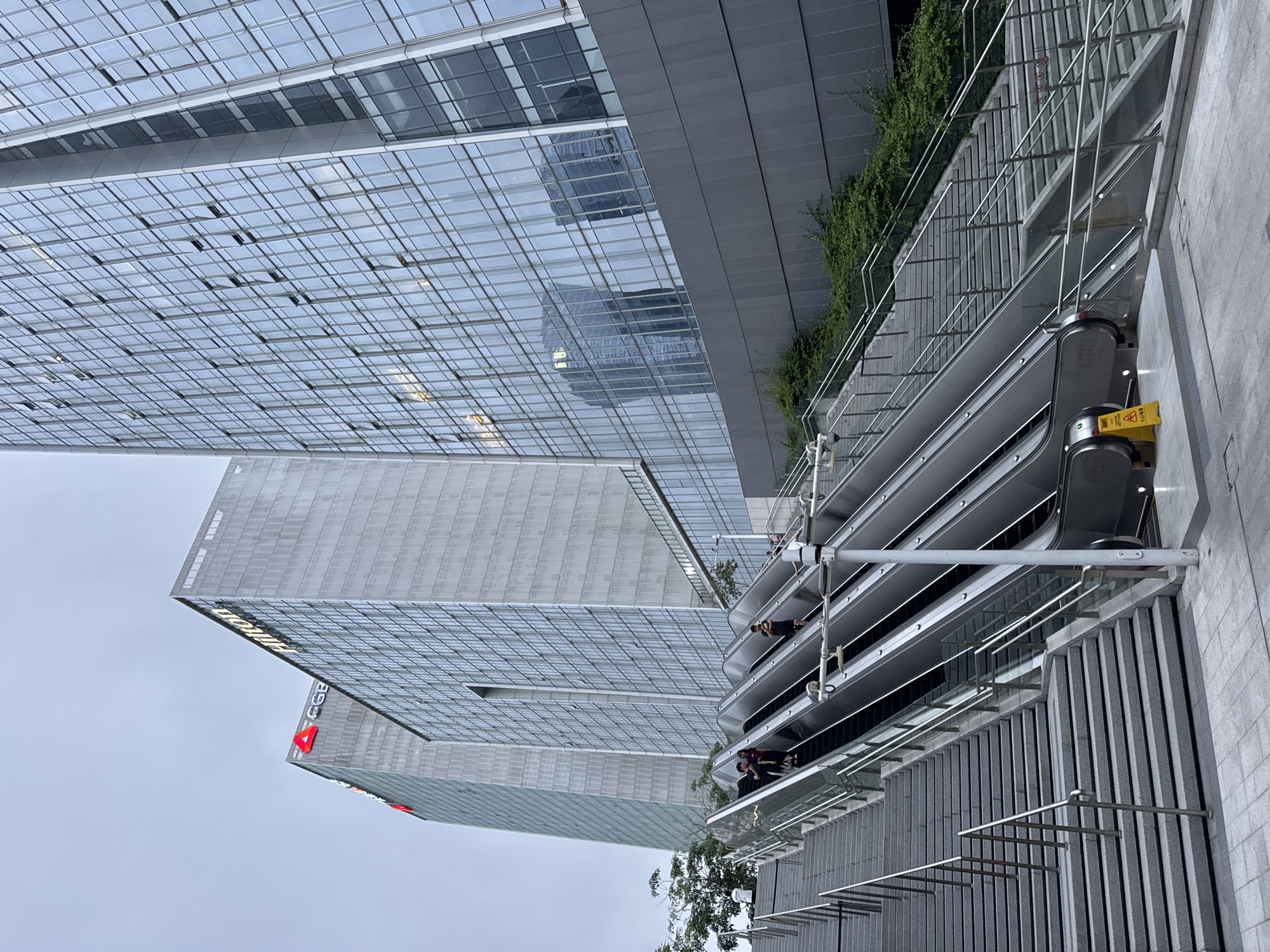 Dog walker strolls through Futian District's urban landscape