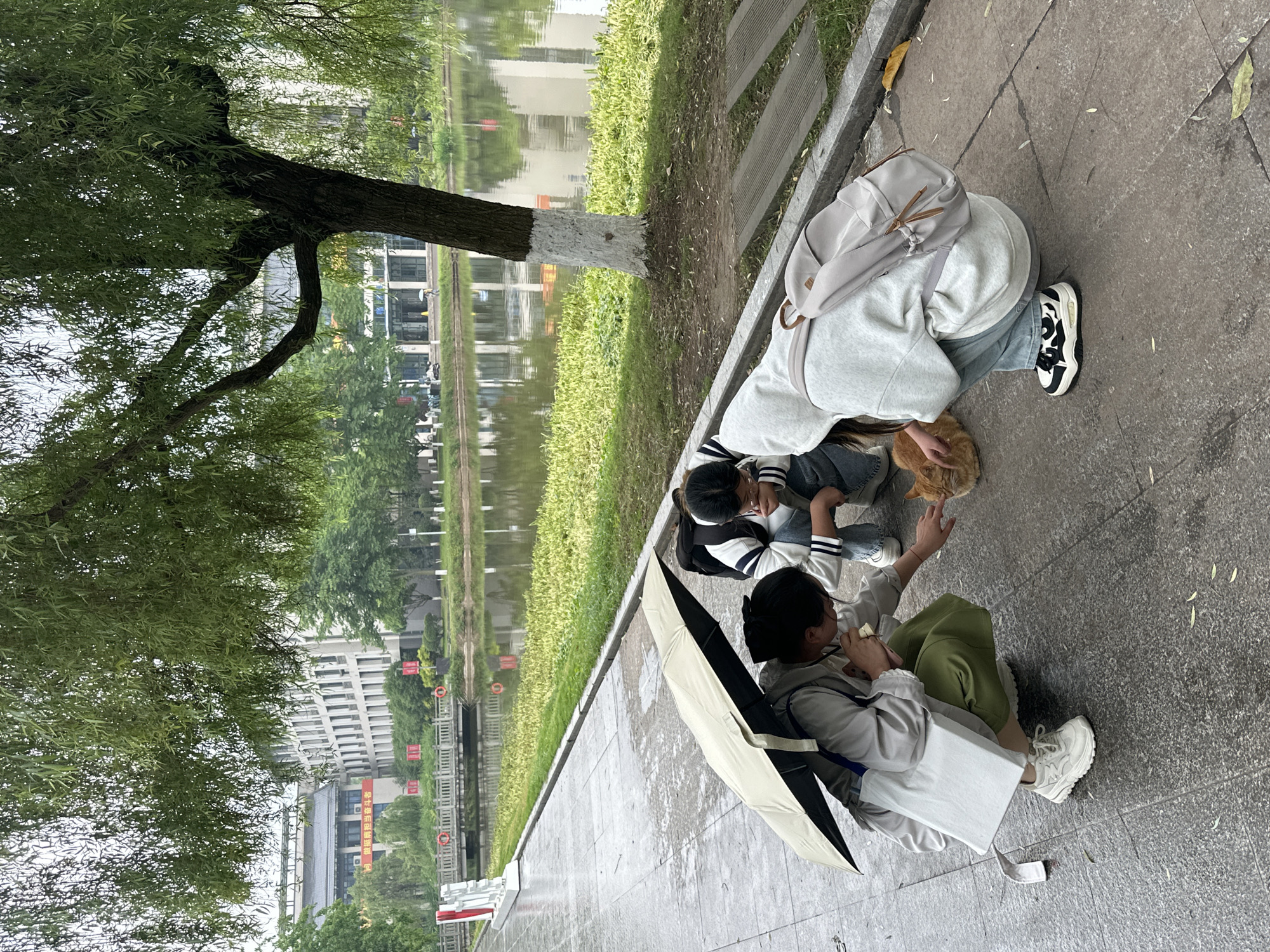 Morning life unfolds across Jiangjin's public spaces
