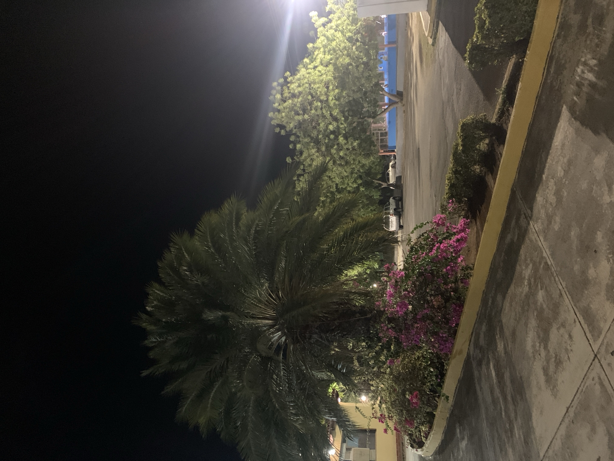 Nighttime street scenes documented in Santa Ana, Venezuela