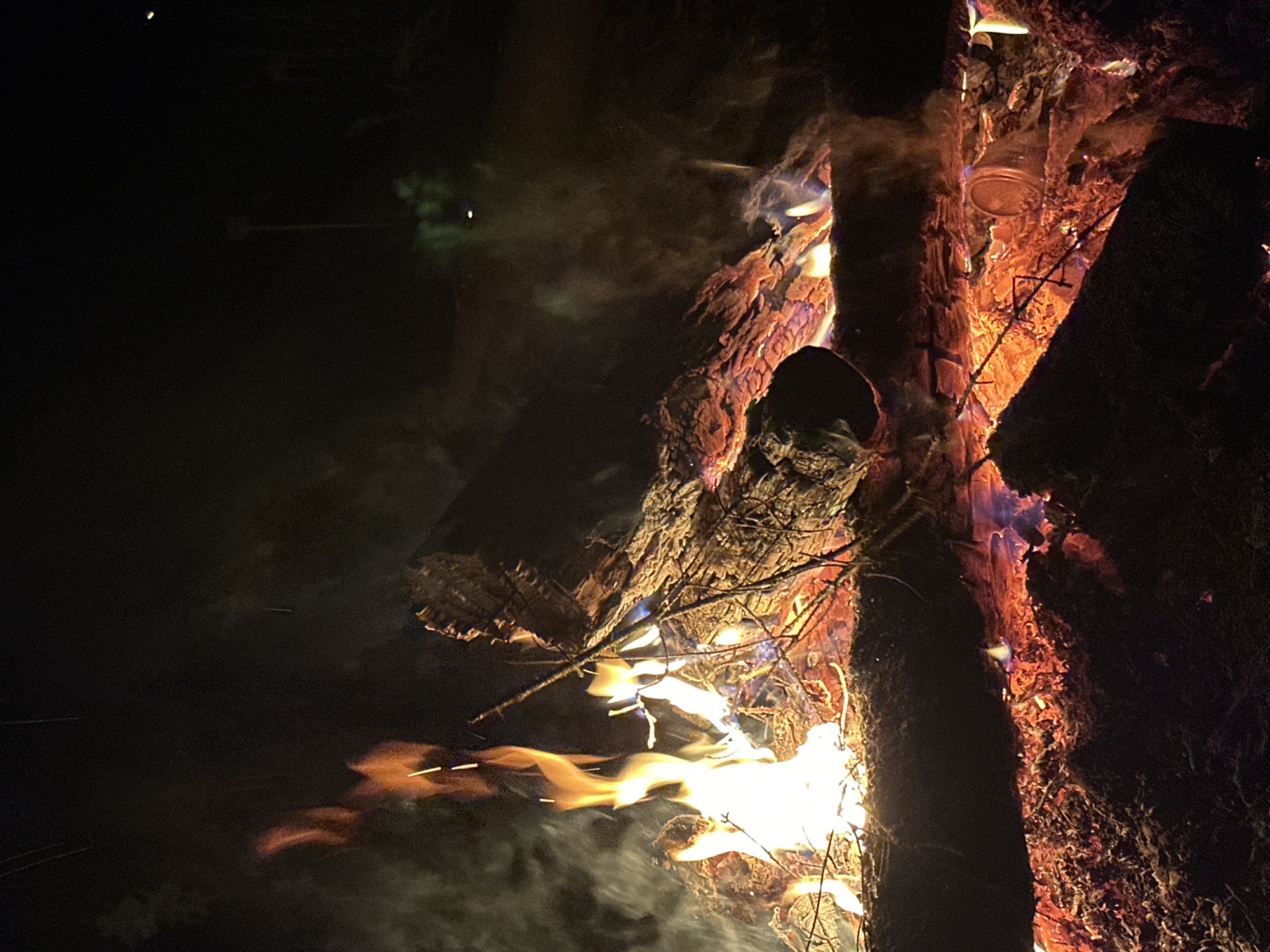 Evening bonfire burns in rural Belarus countryside