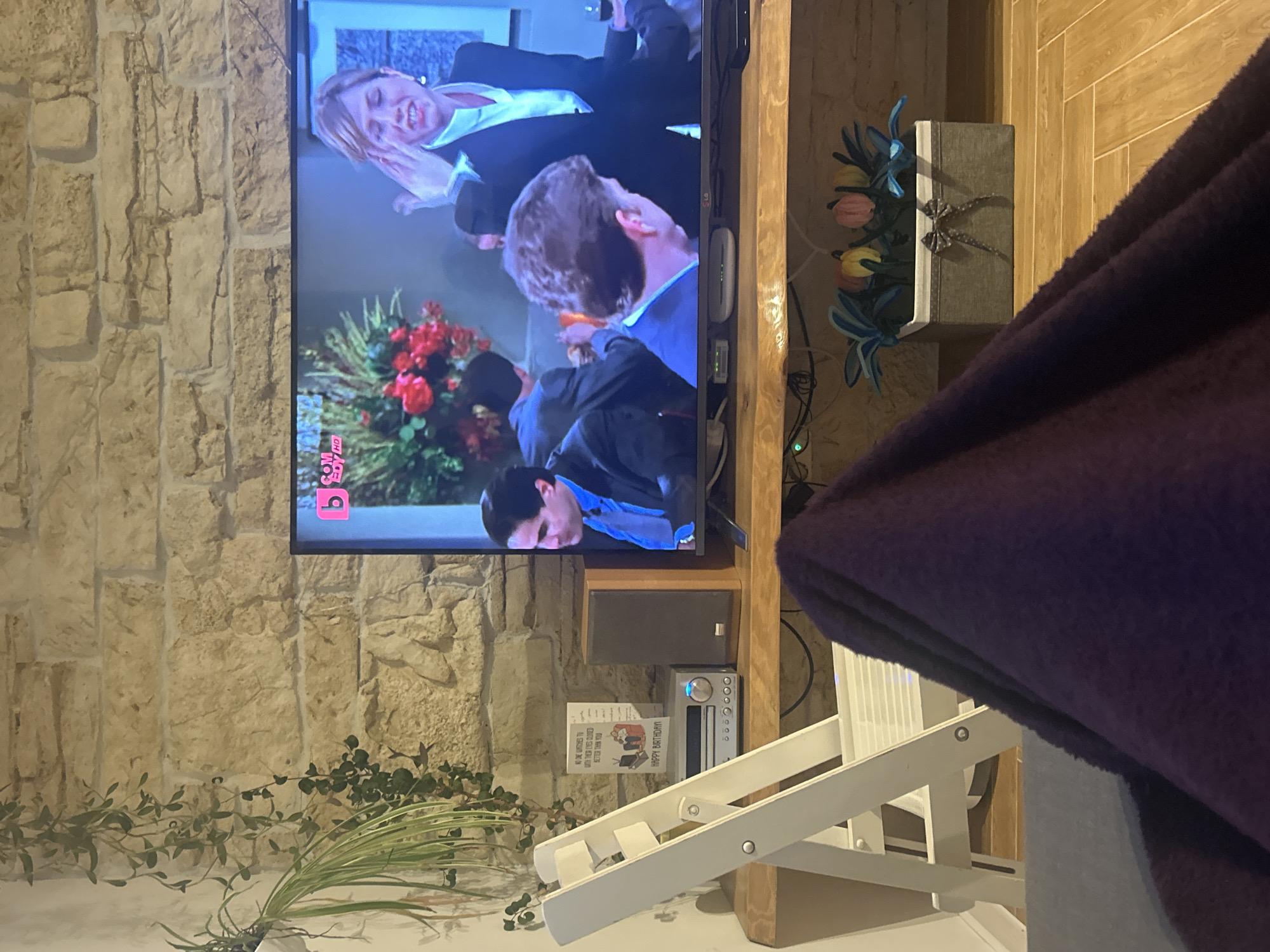 Indoor scenes capture TV sitcom and secured plant pot