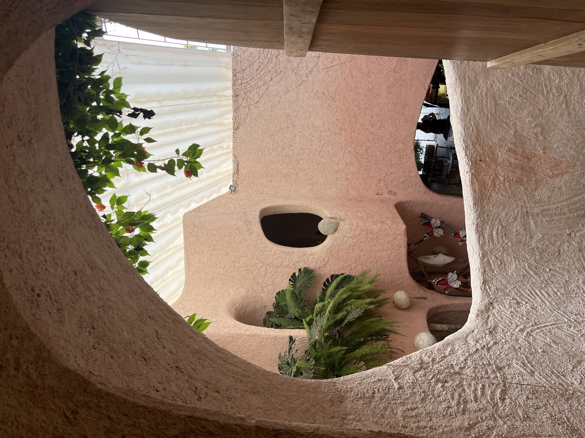 Morning cafe visit features pink textured walls, tropical plants